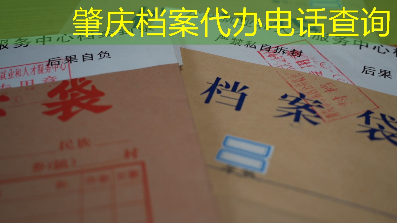 档案查询