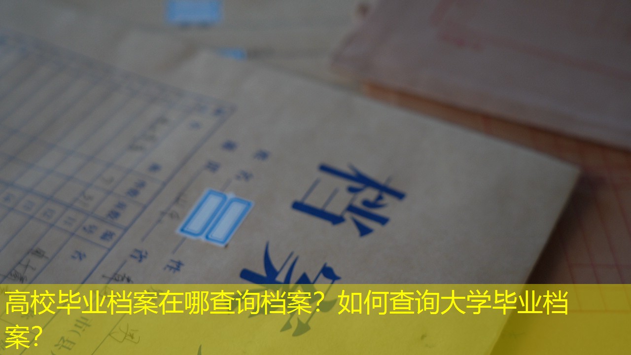 档案查询