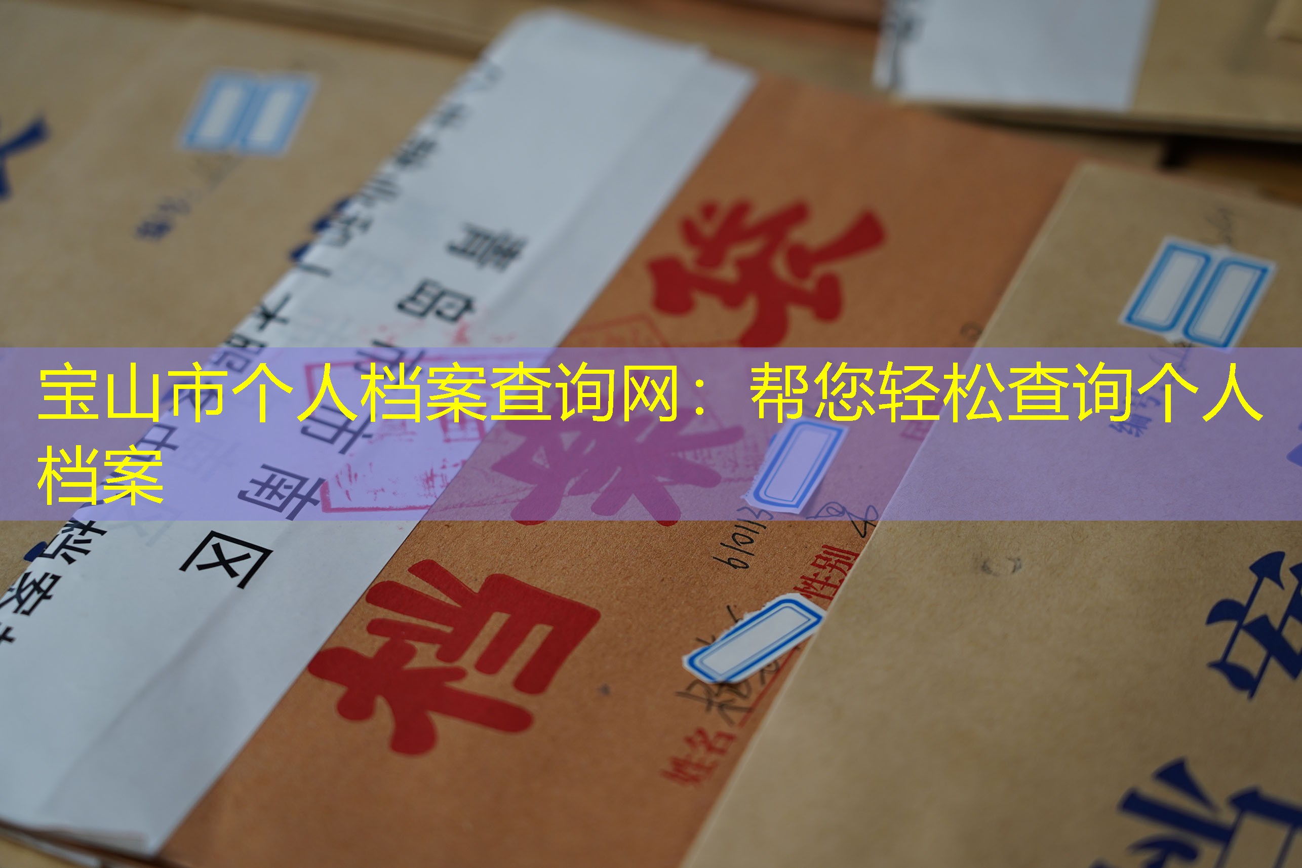 档案查询