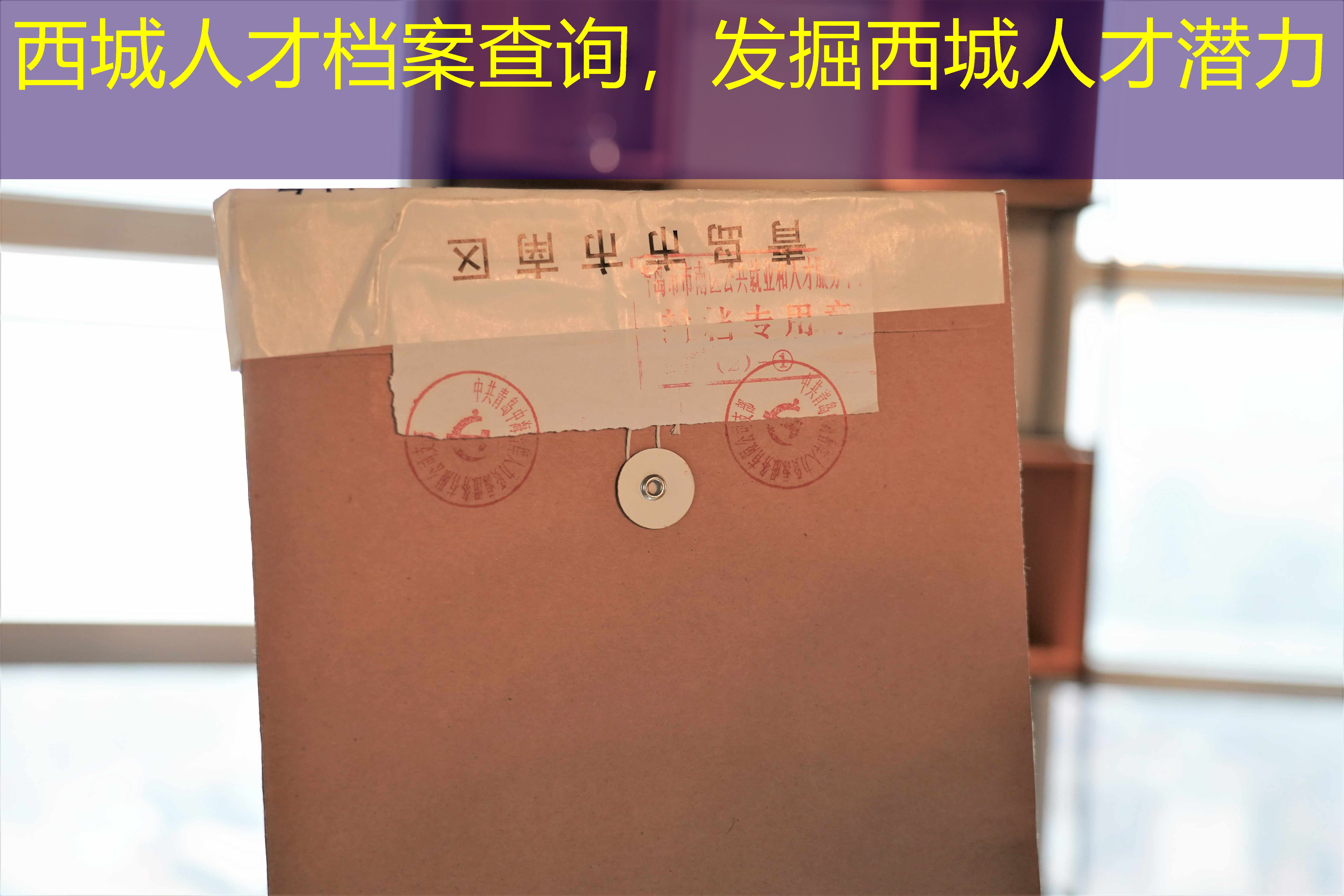 档案查询