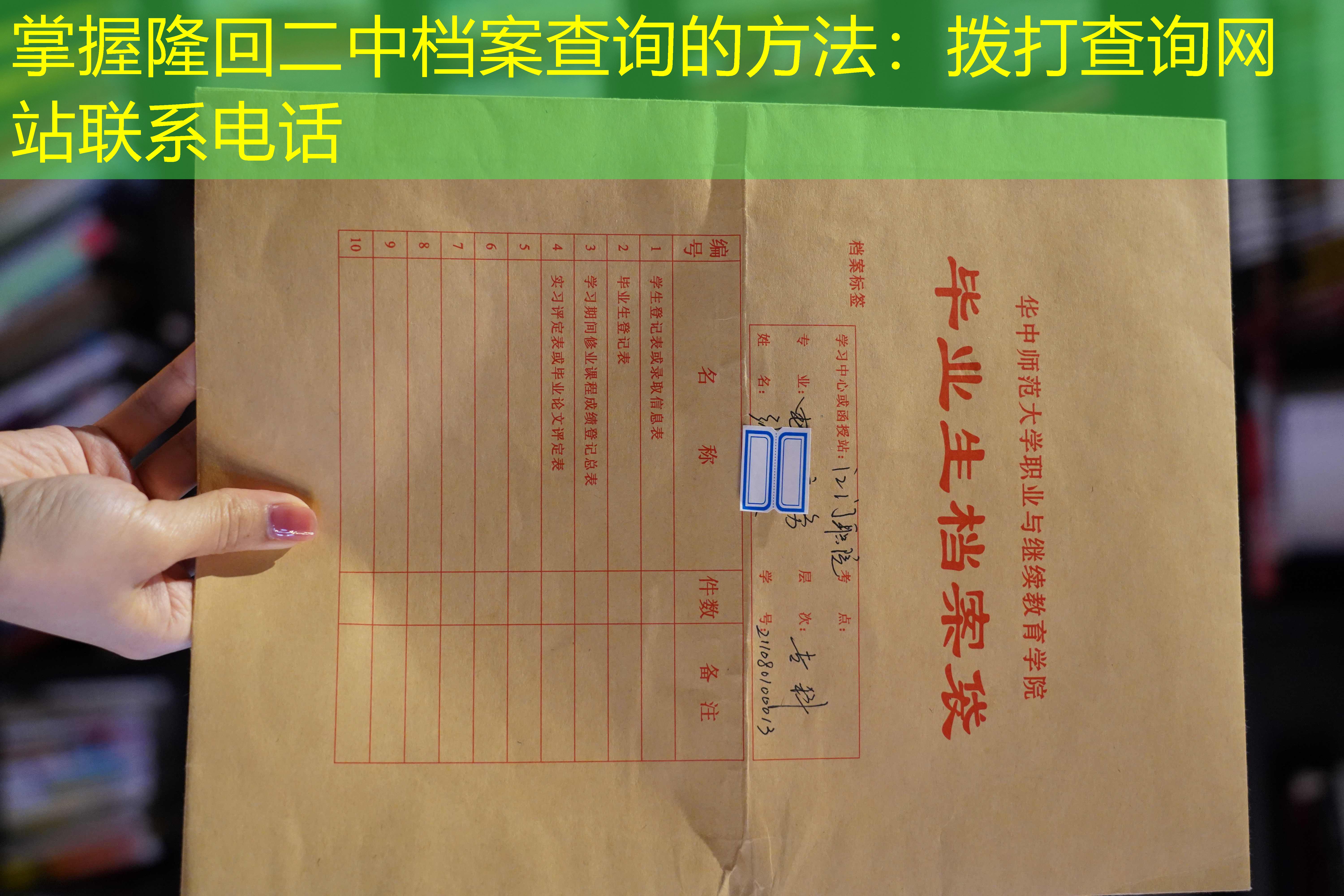 档案查询