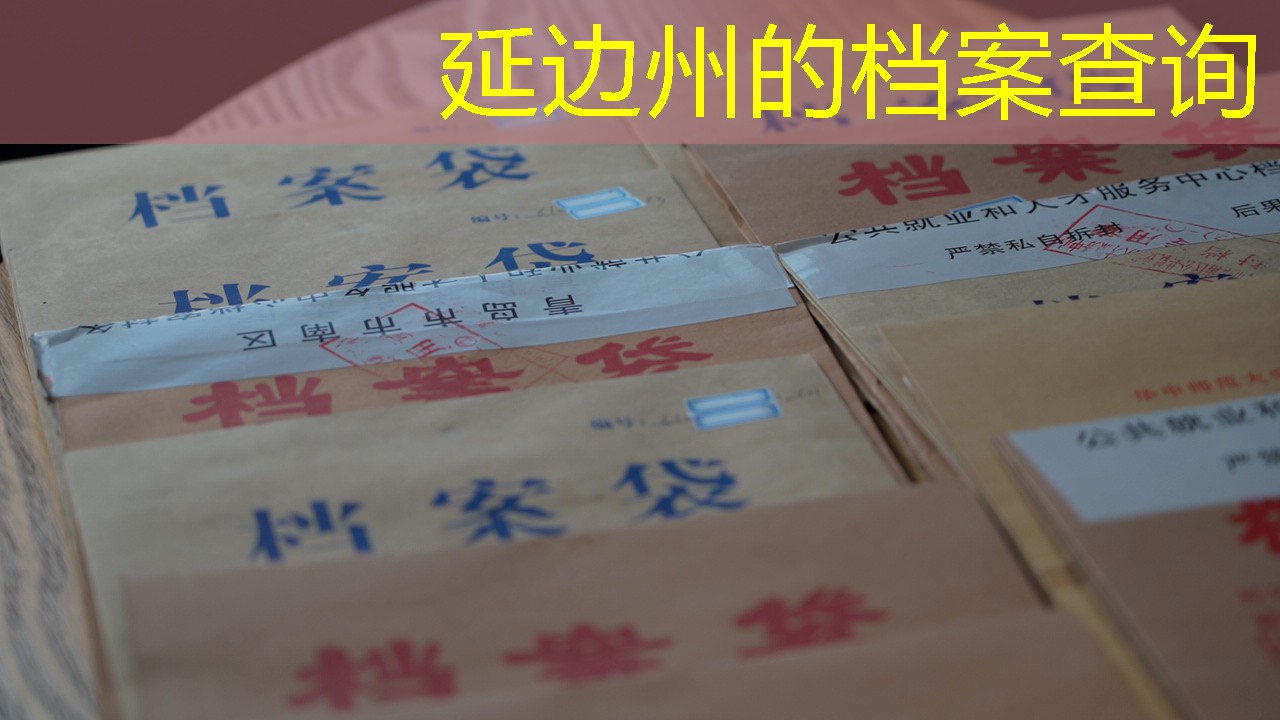 档案查询