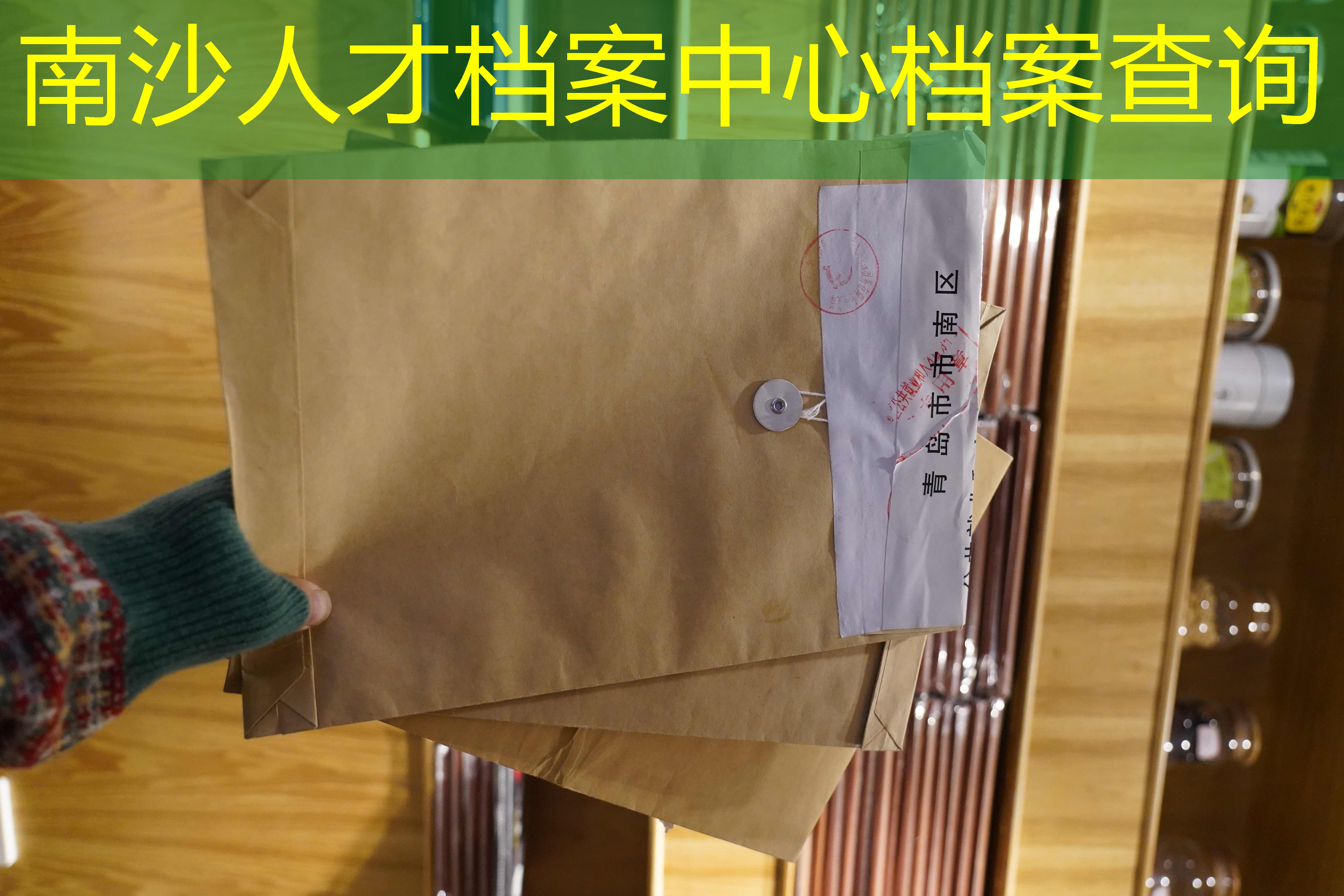 档案查询
