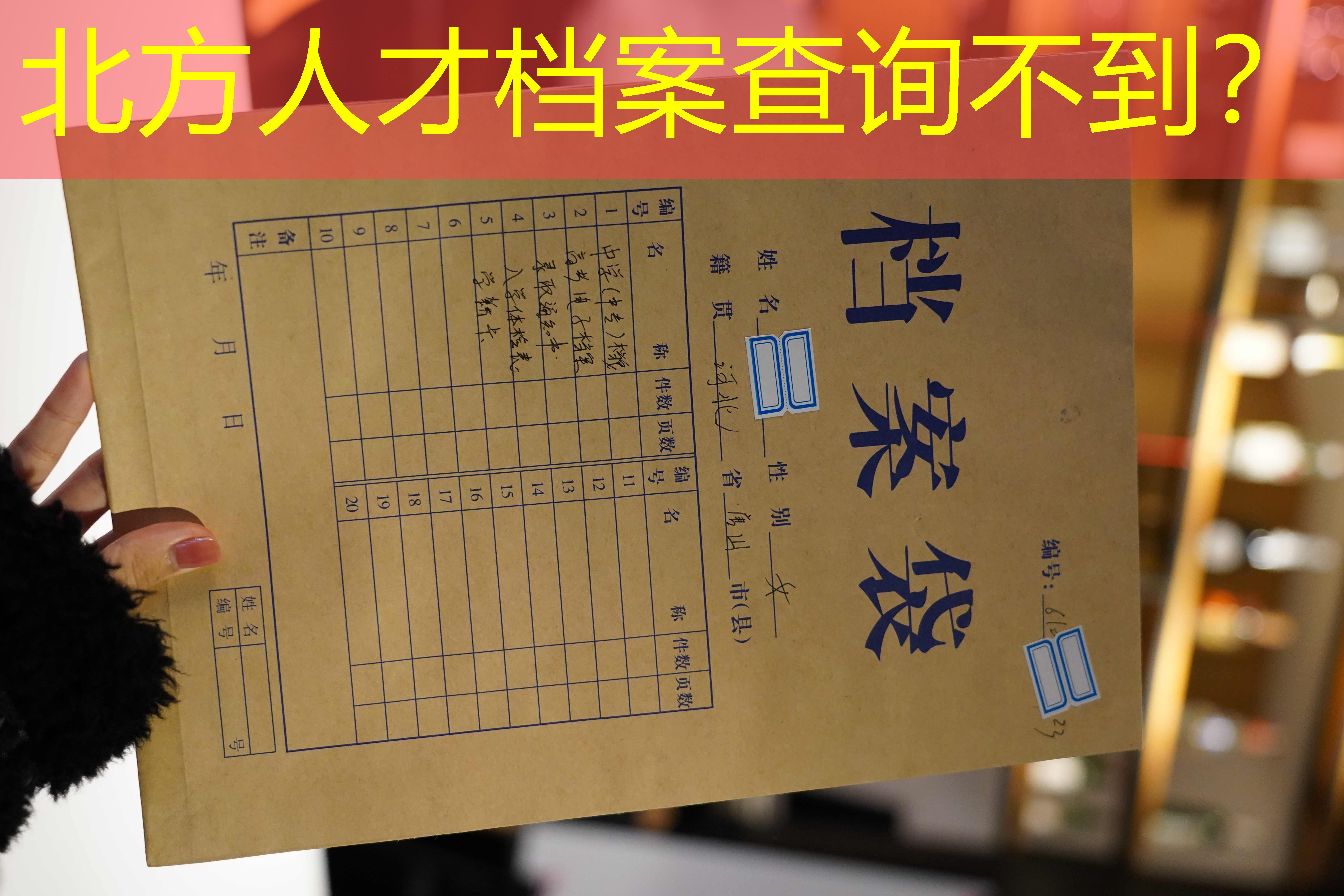 档案查询