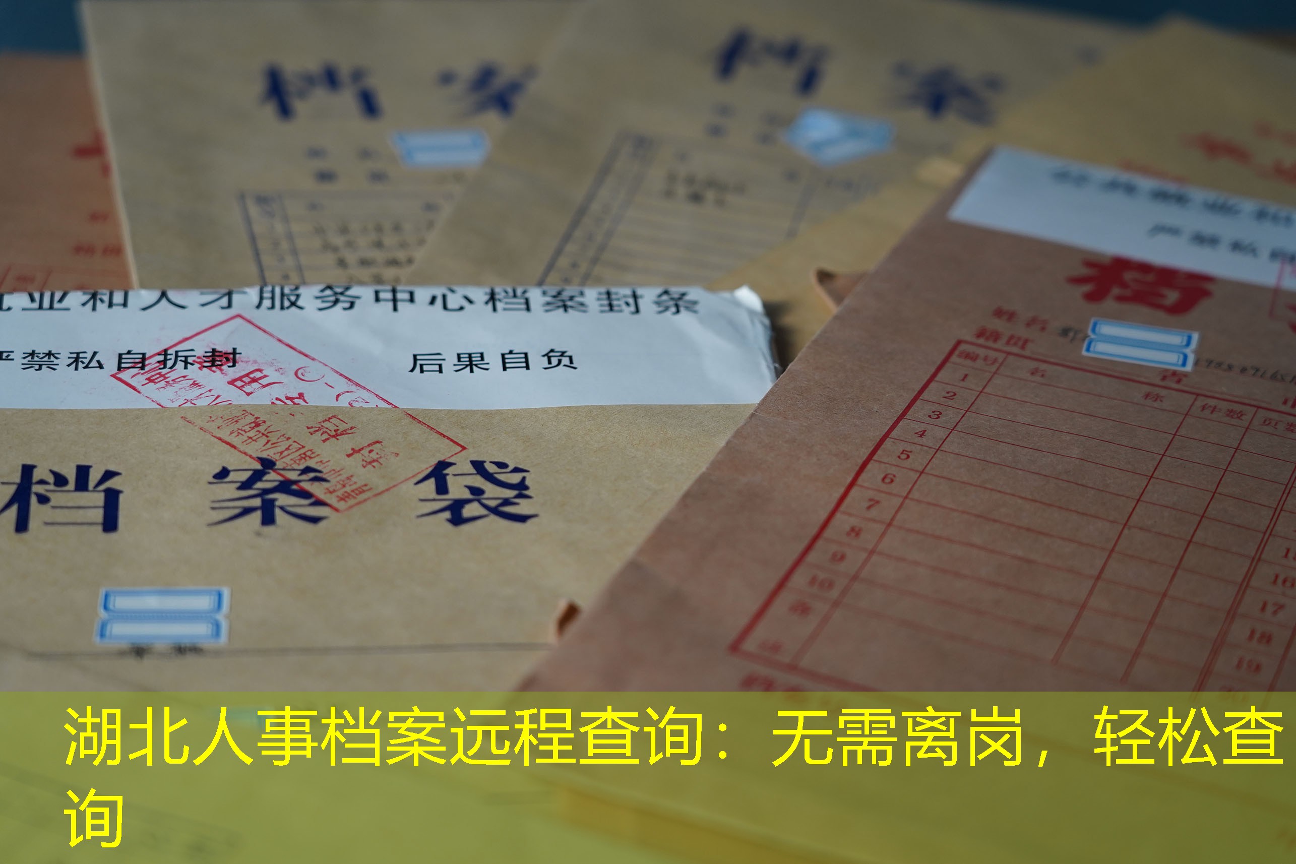 档案查询