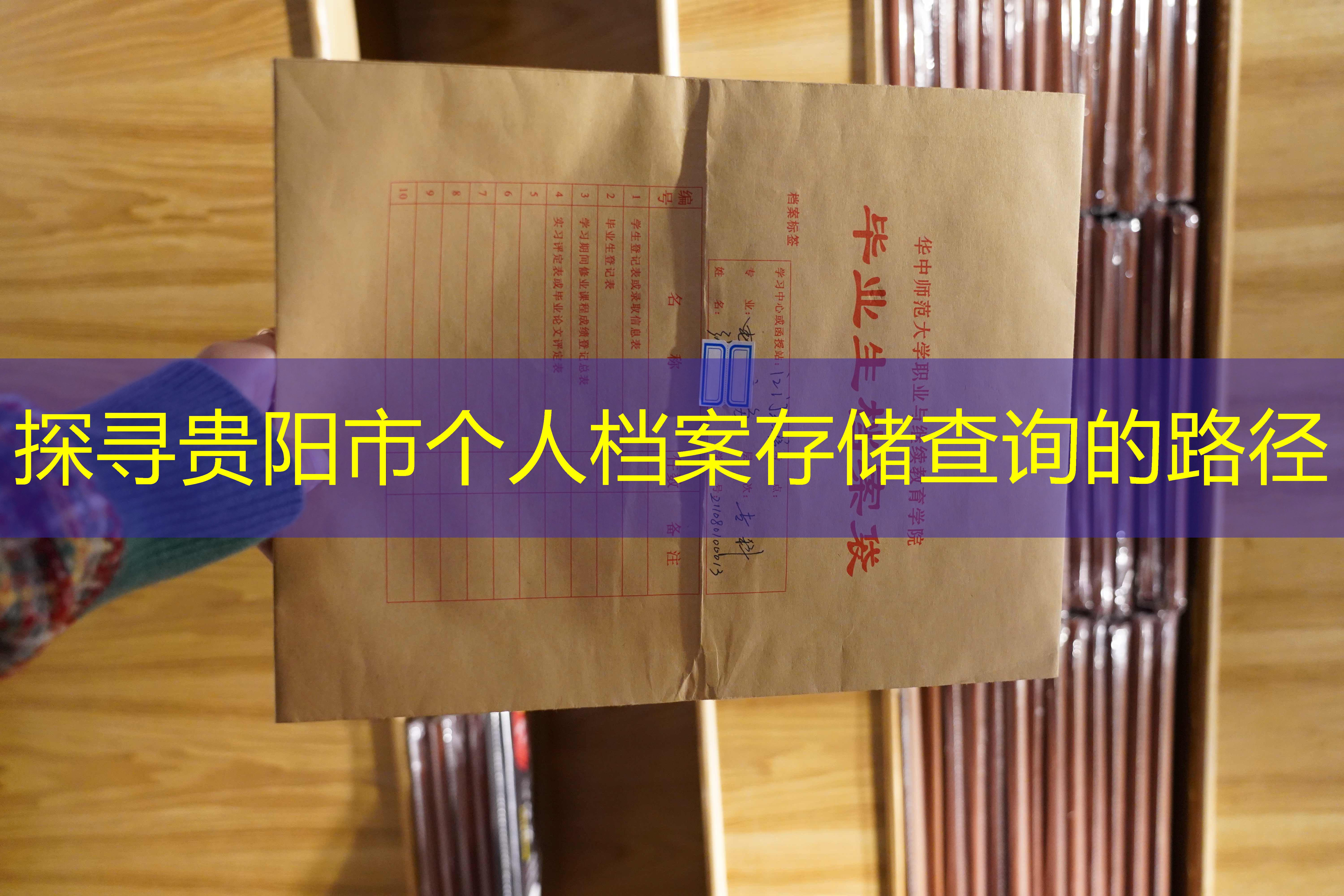档案查询