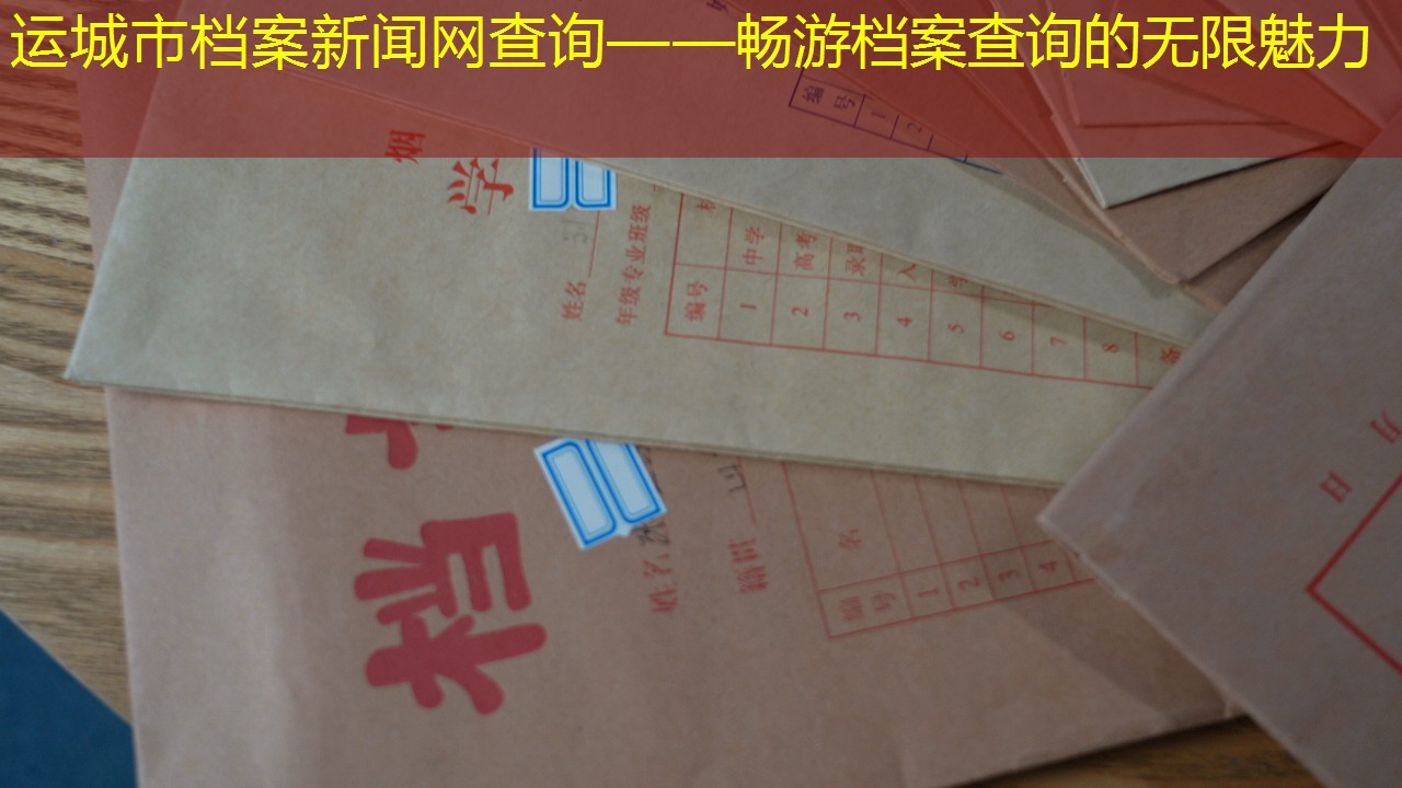 档案查询