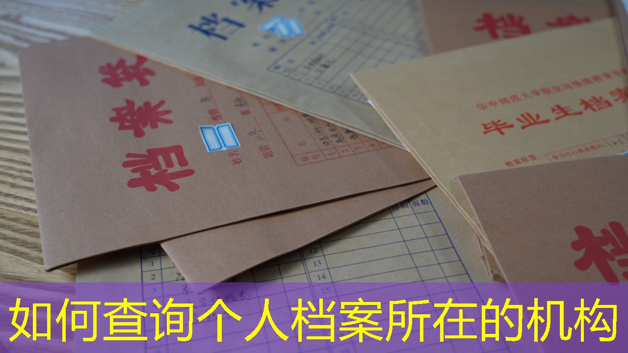 档案查询