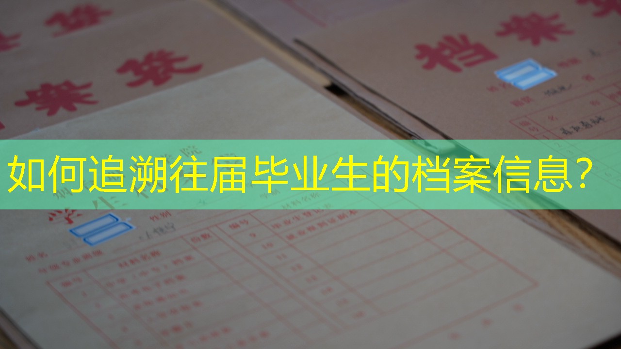 档案查询