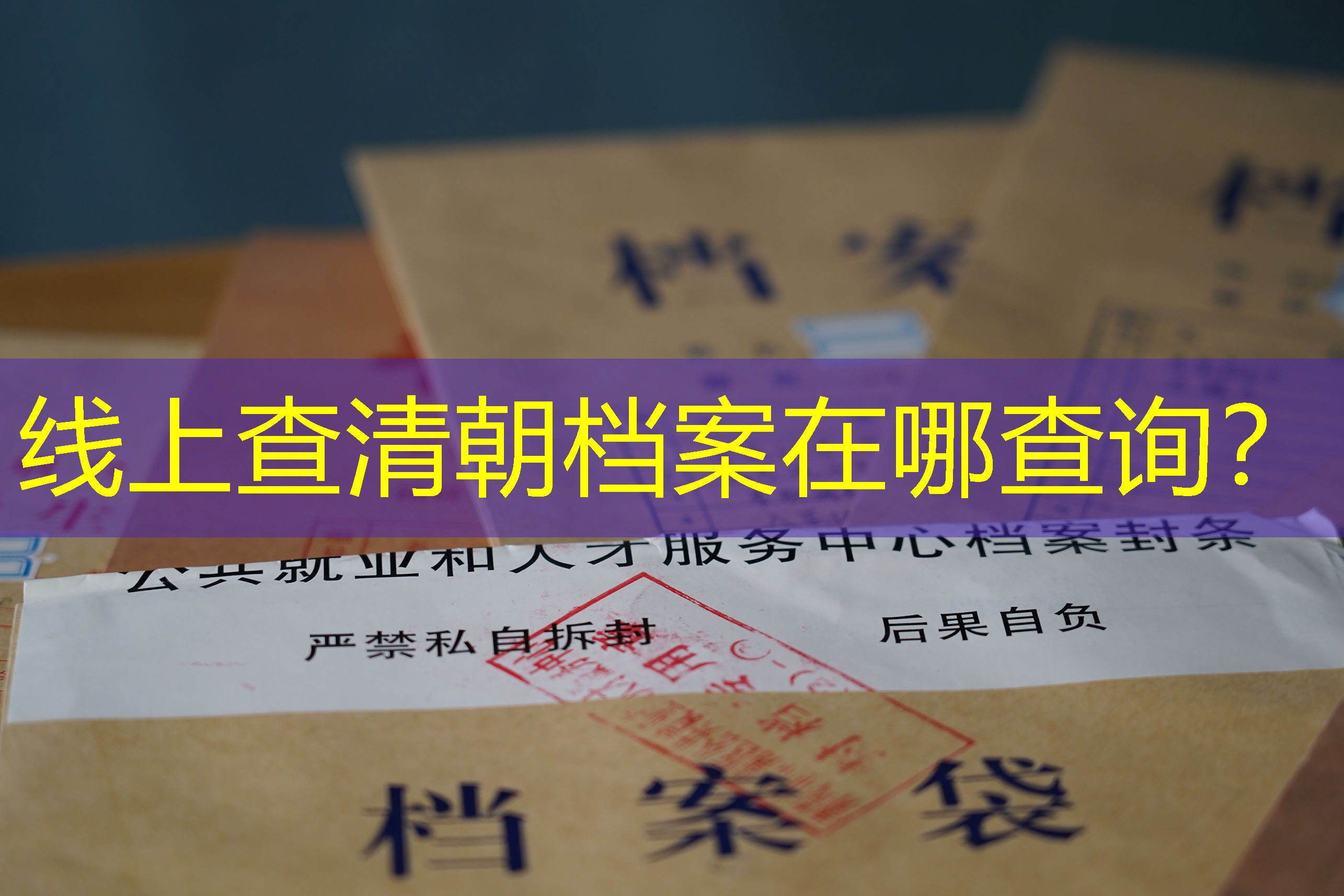 档案查询