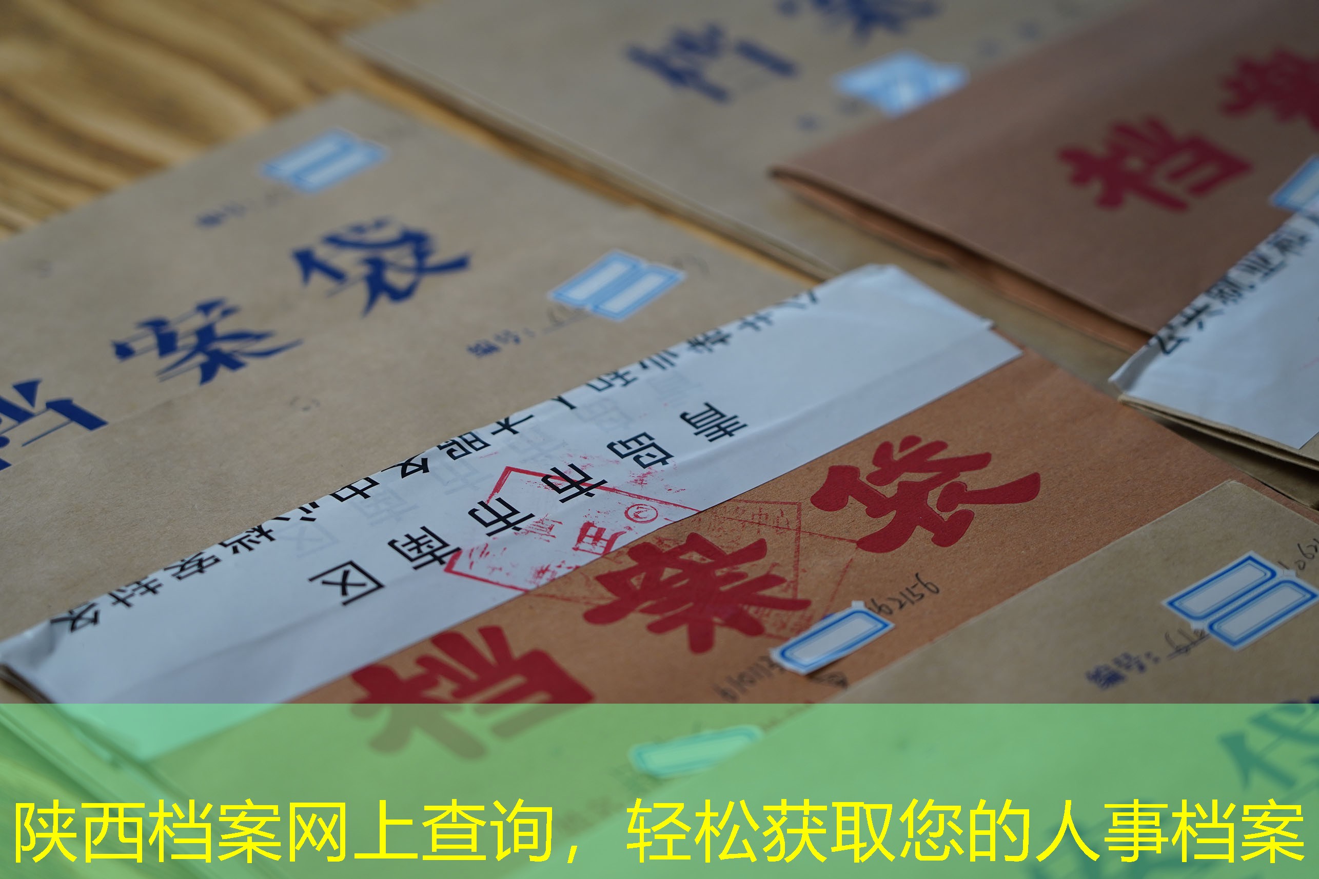 档案查询