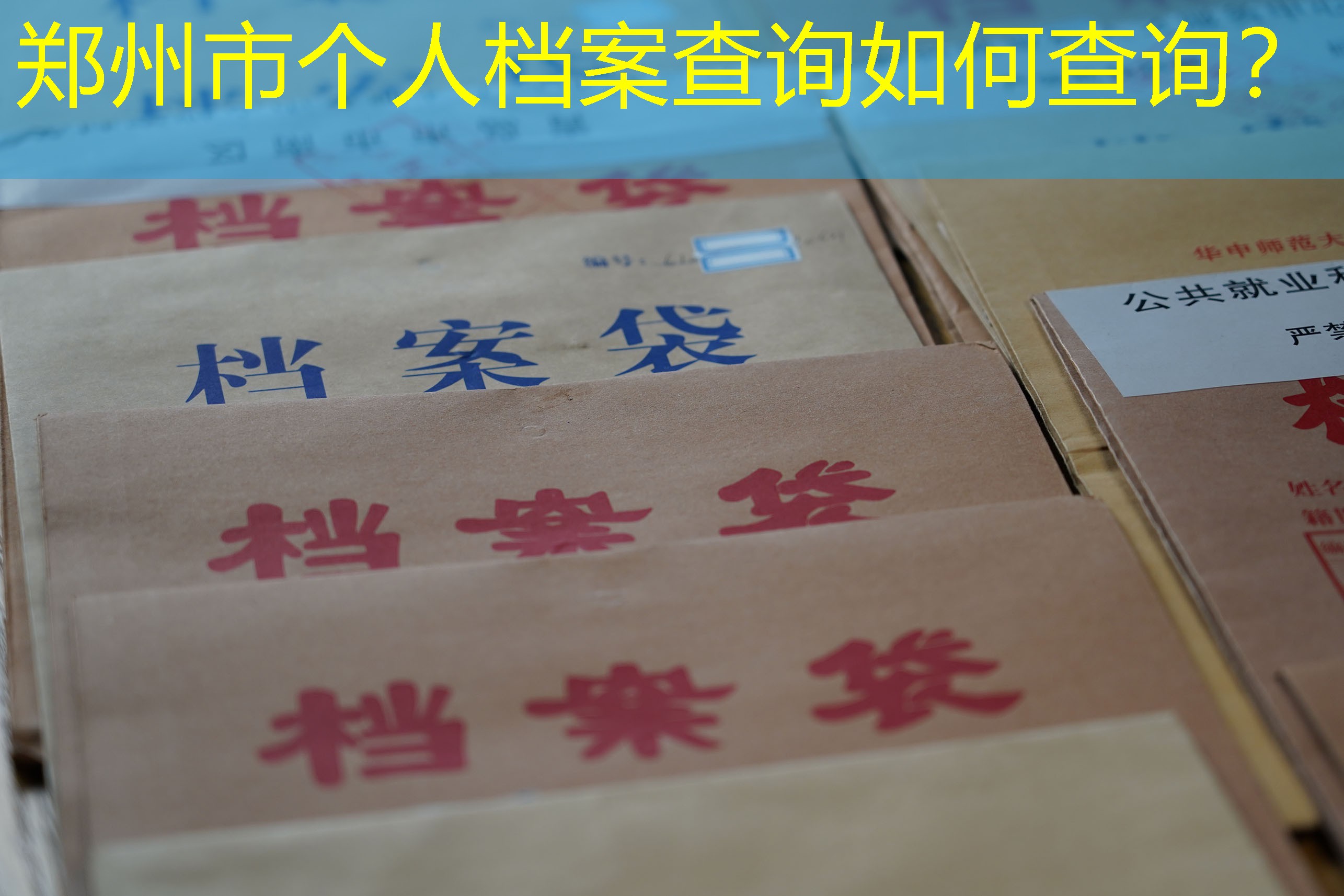 档案查询