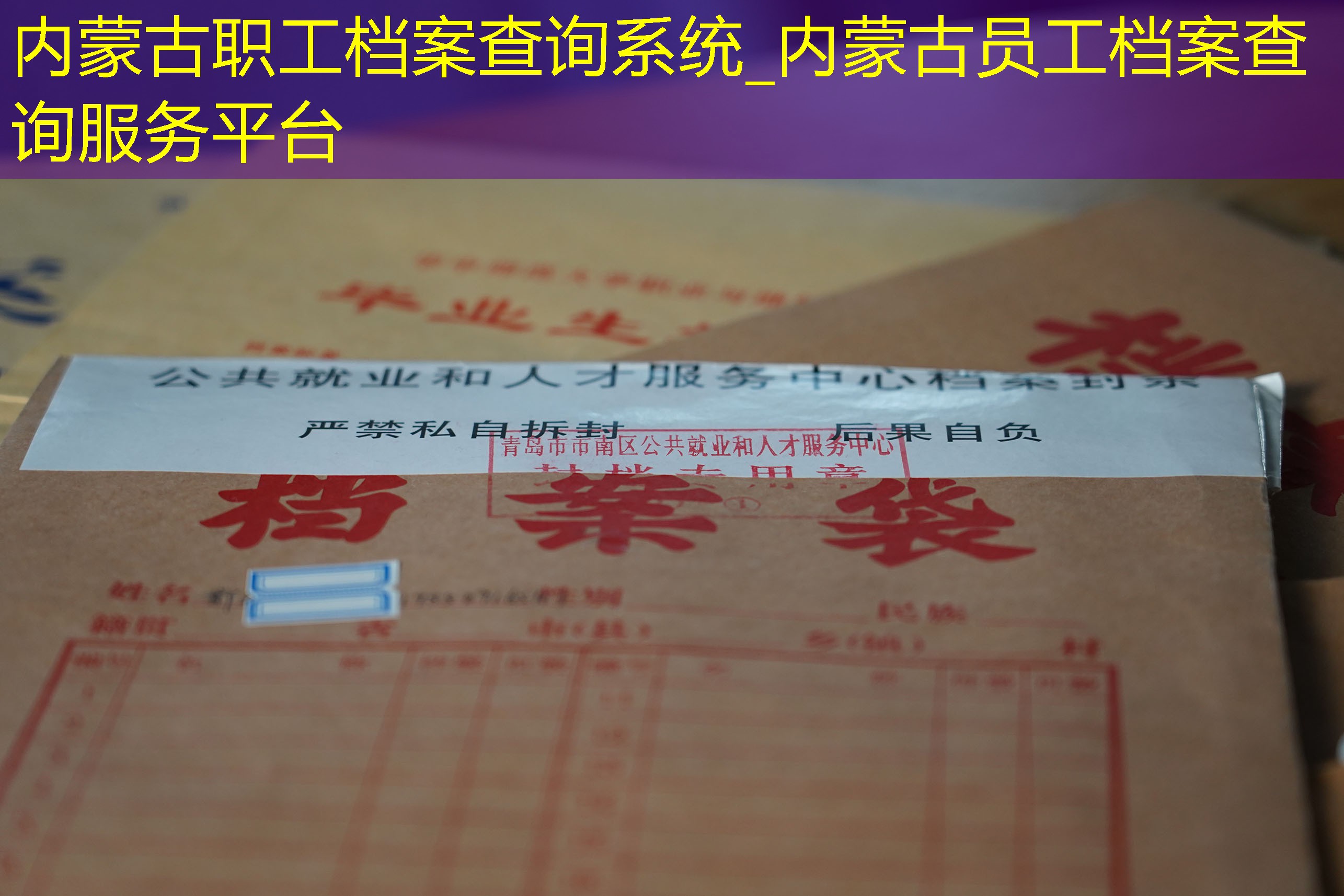 档案查询
