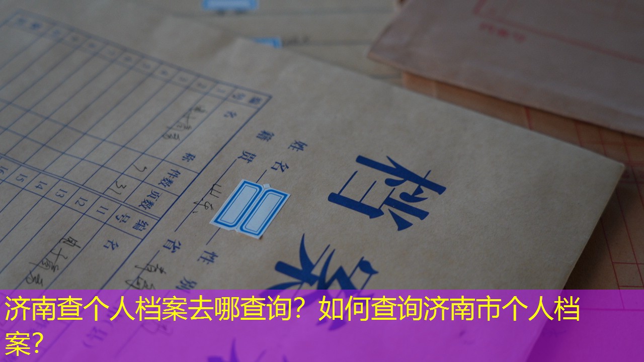 档案查询