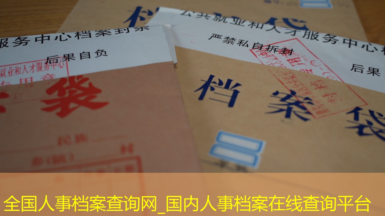 档案查询