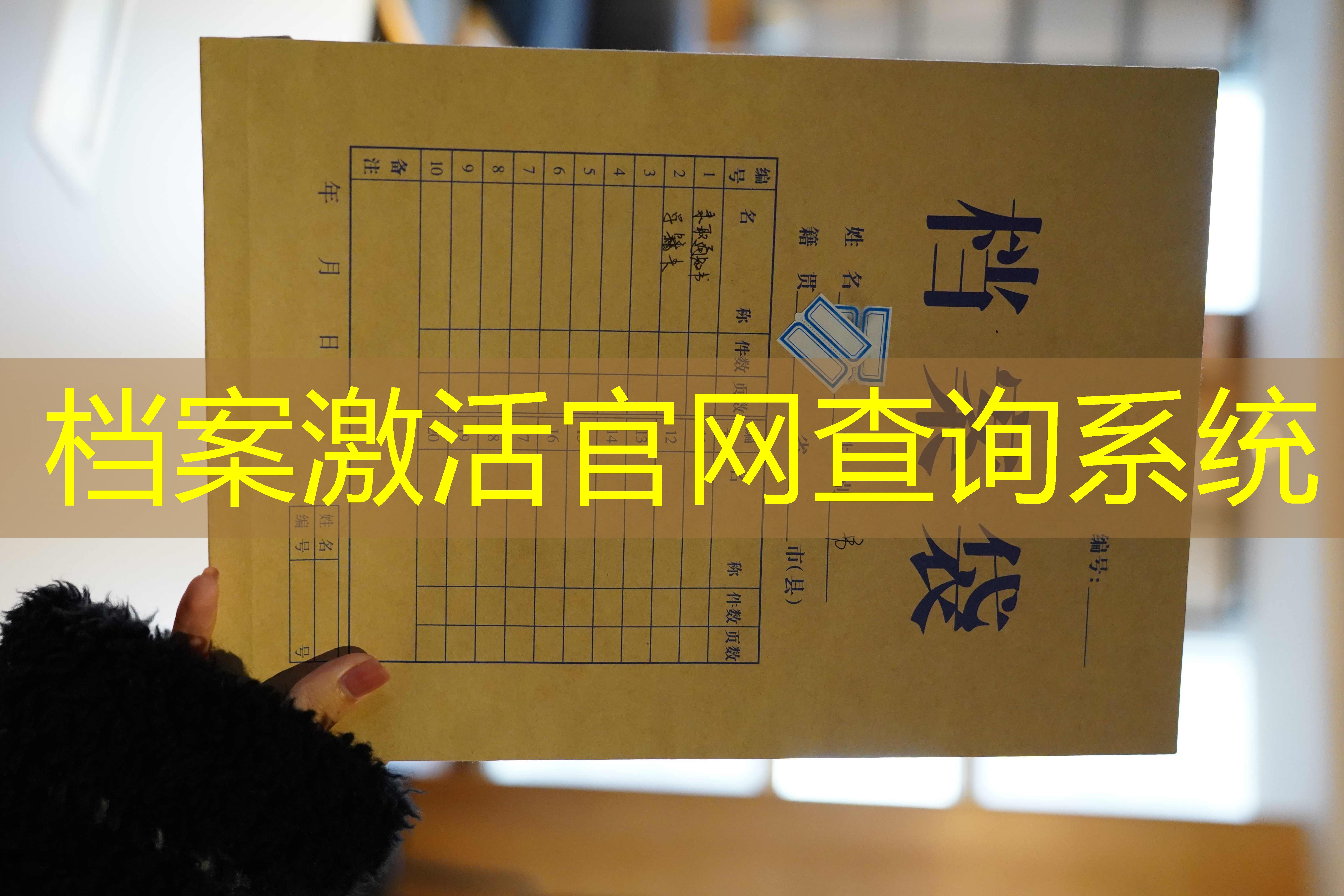 档案查询