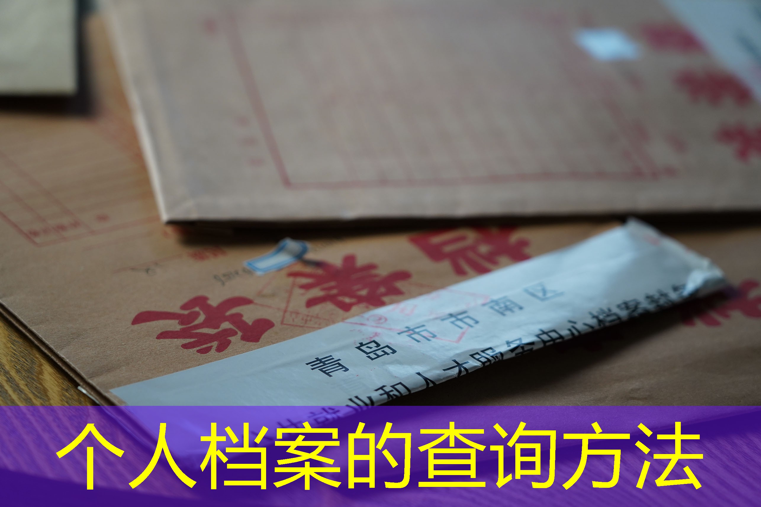 档案查询