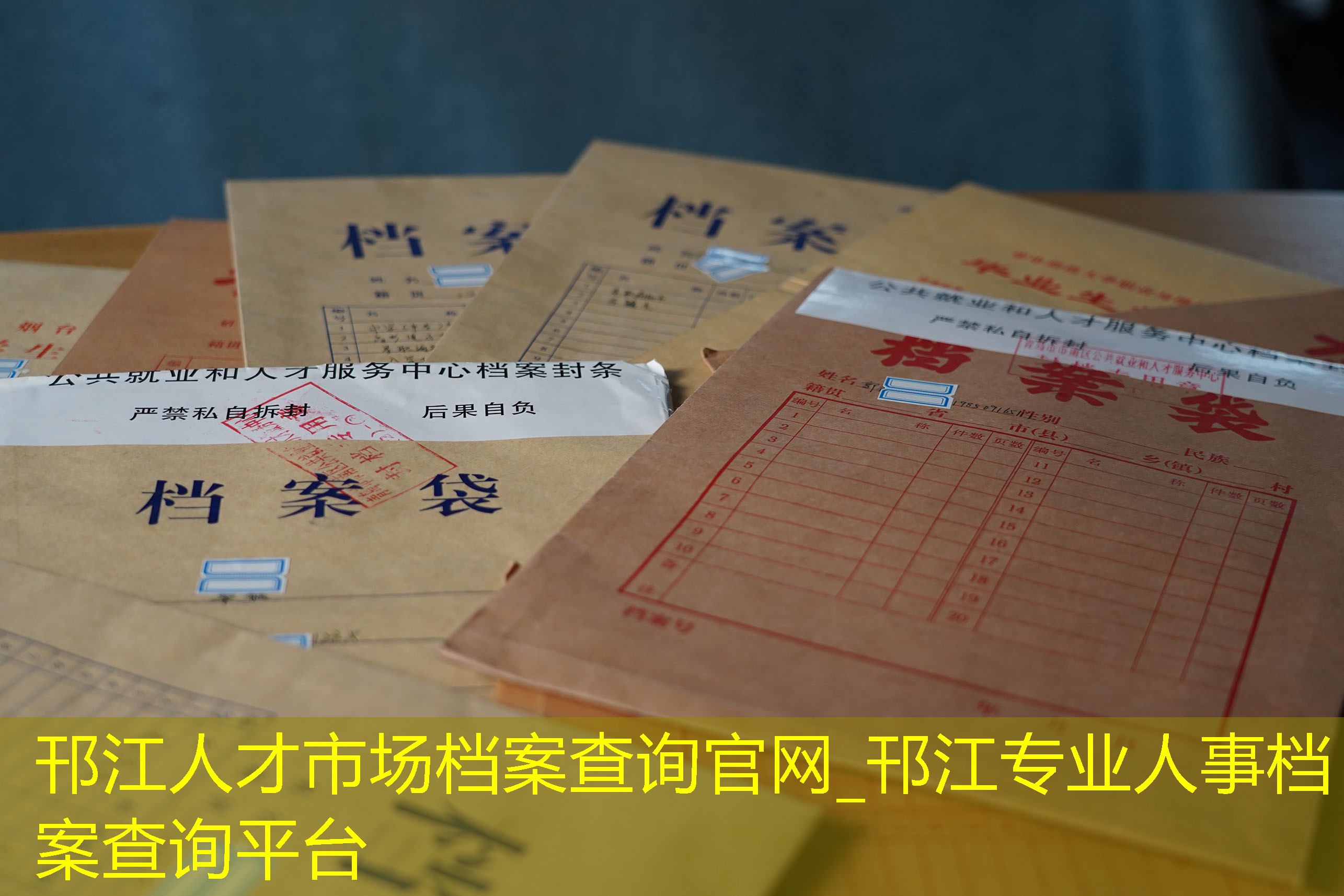 档案查询