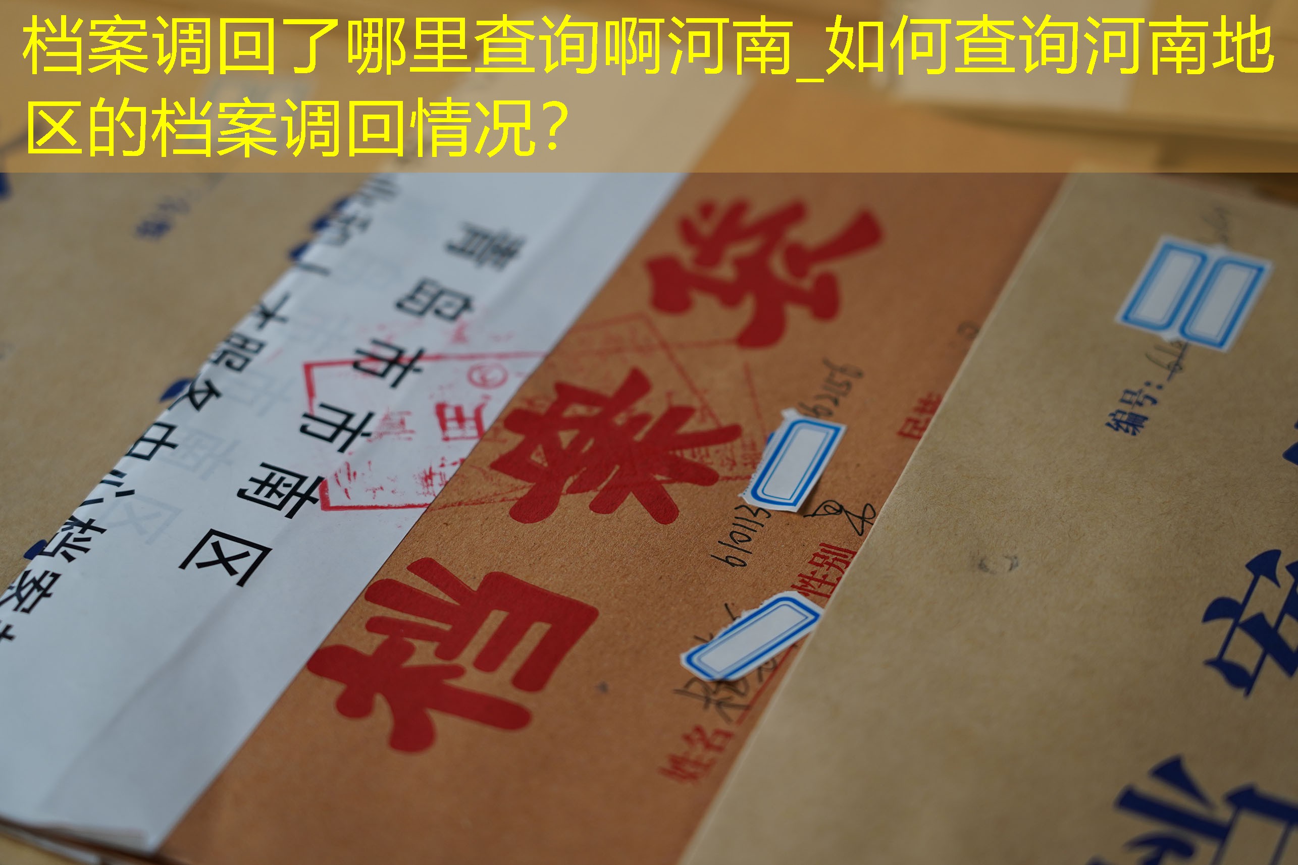档案查询