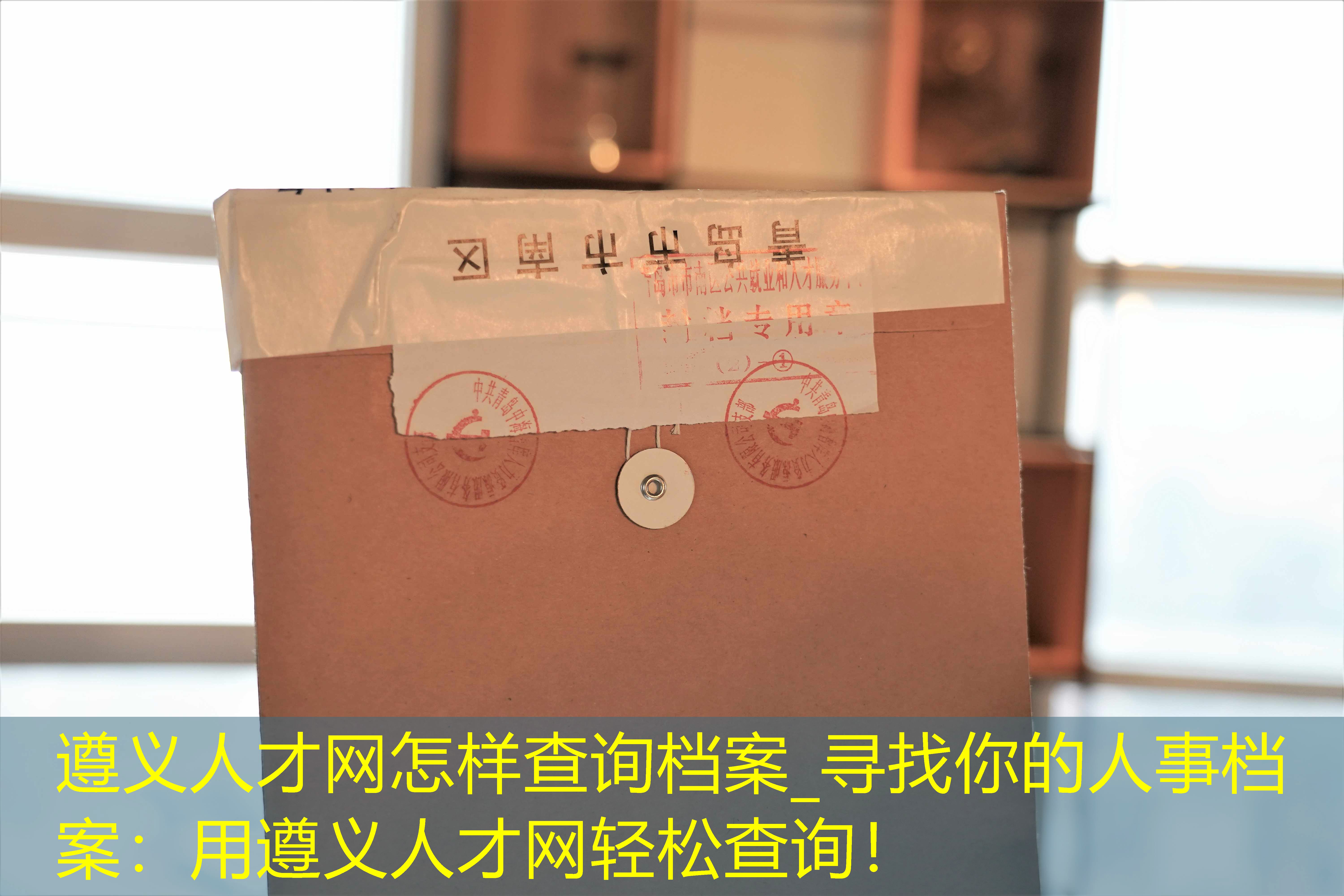 档案查询