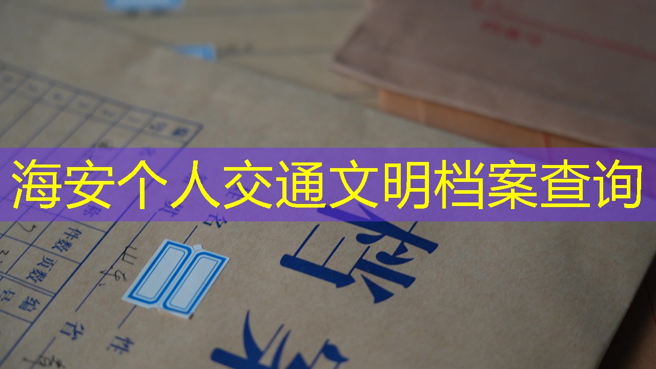档案查询