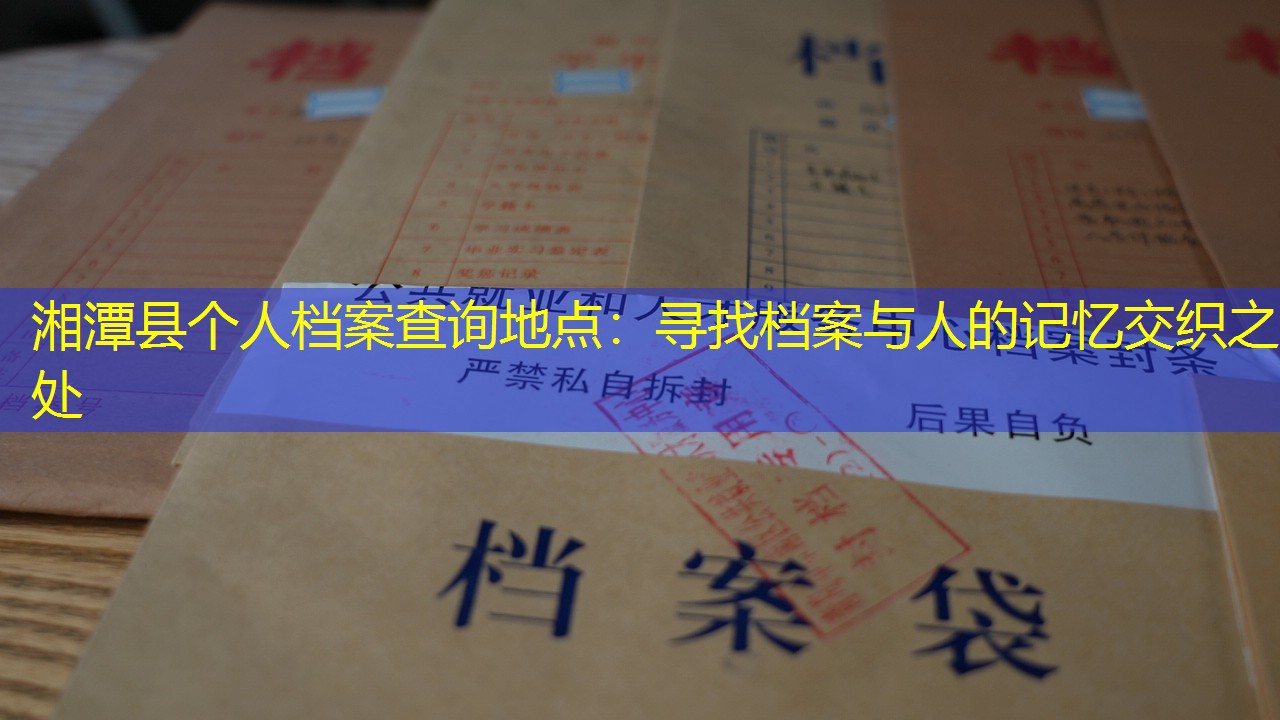 档案查询