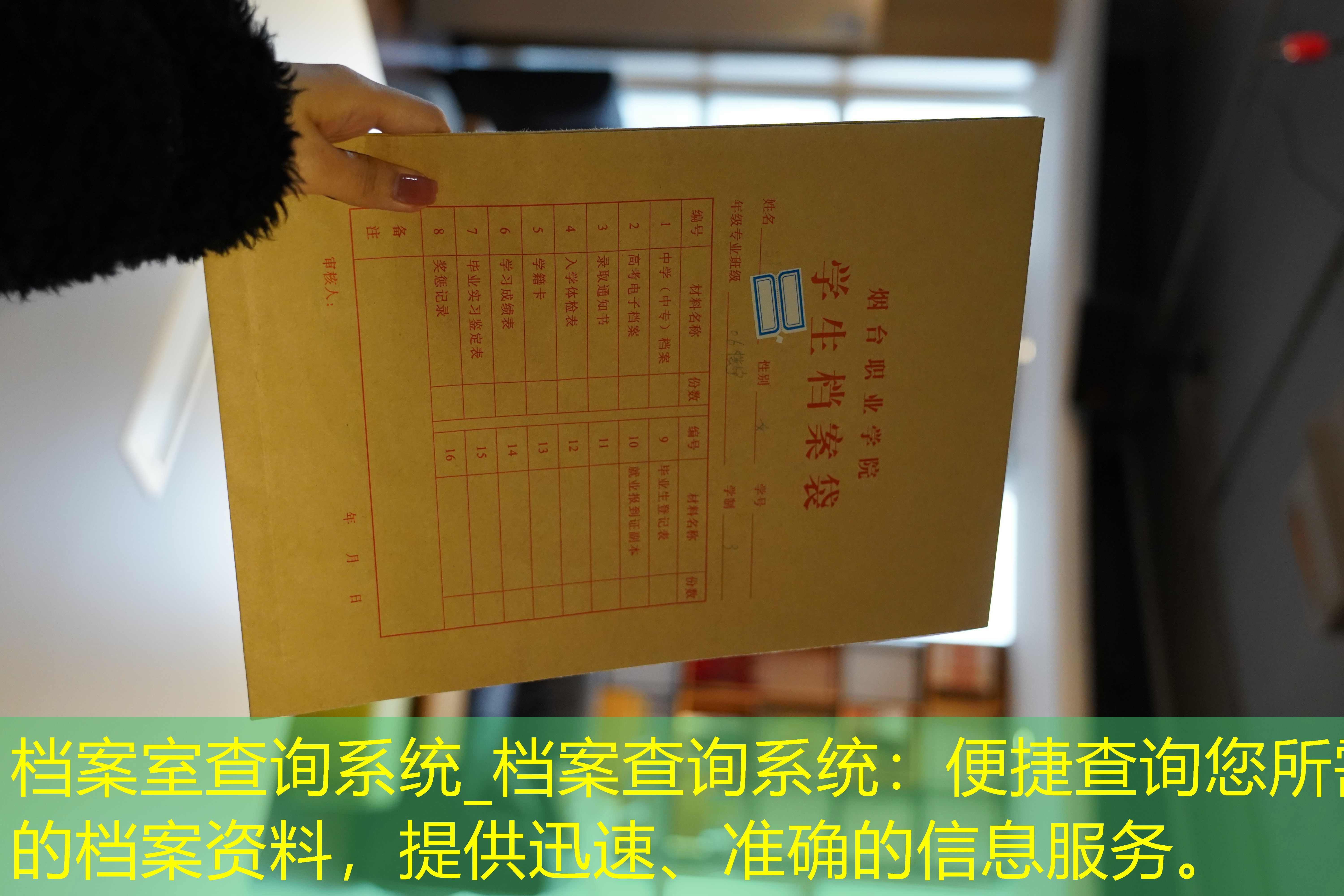 档案查询