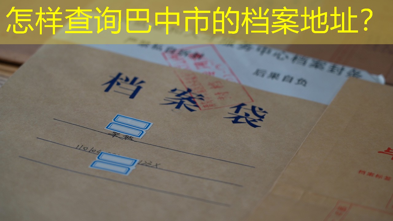 档案查询