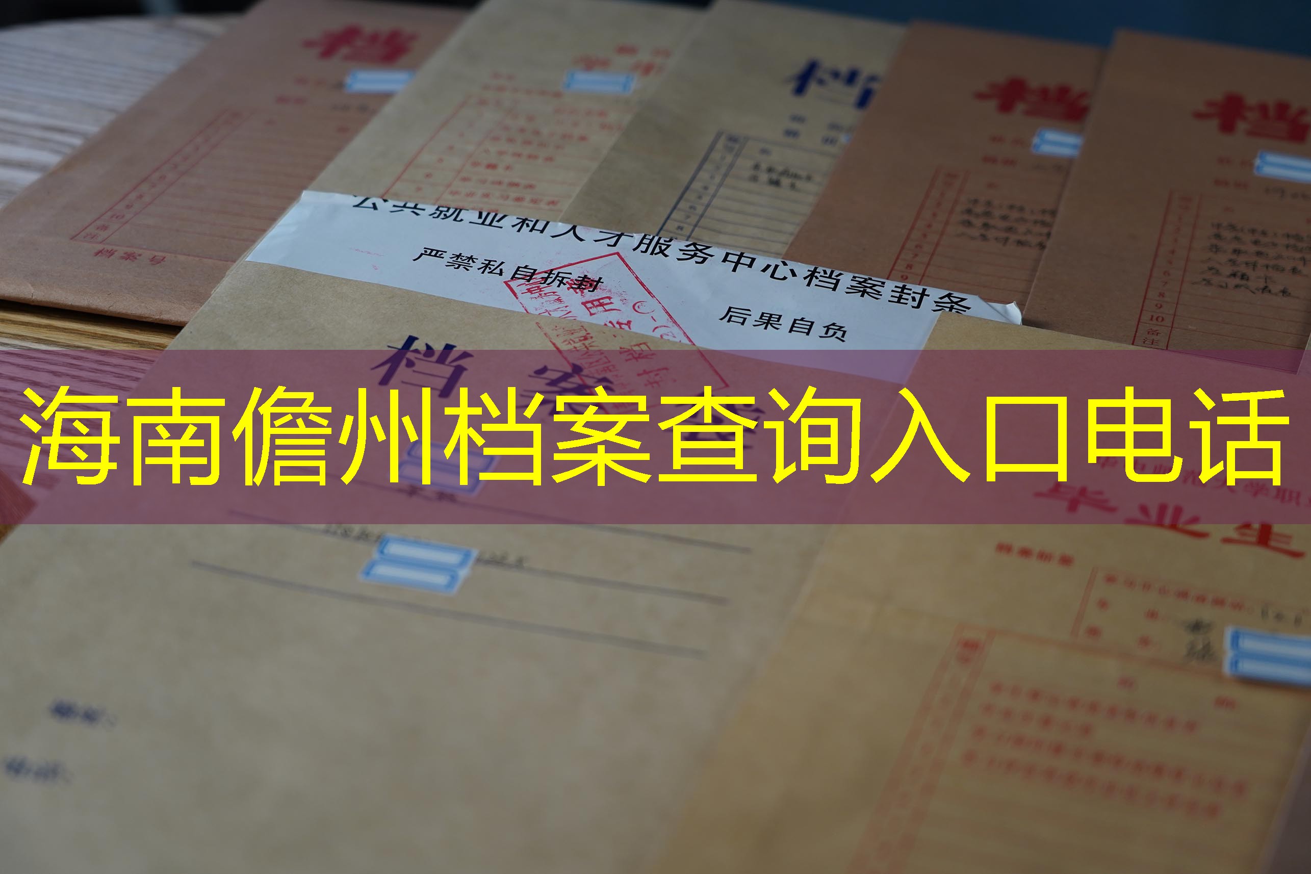 档案查询