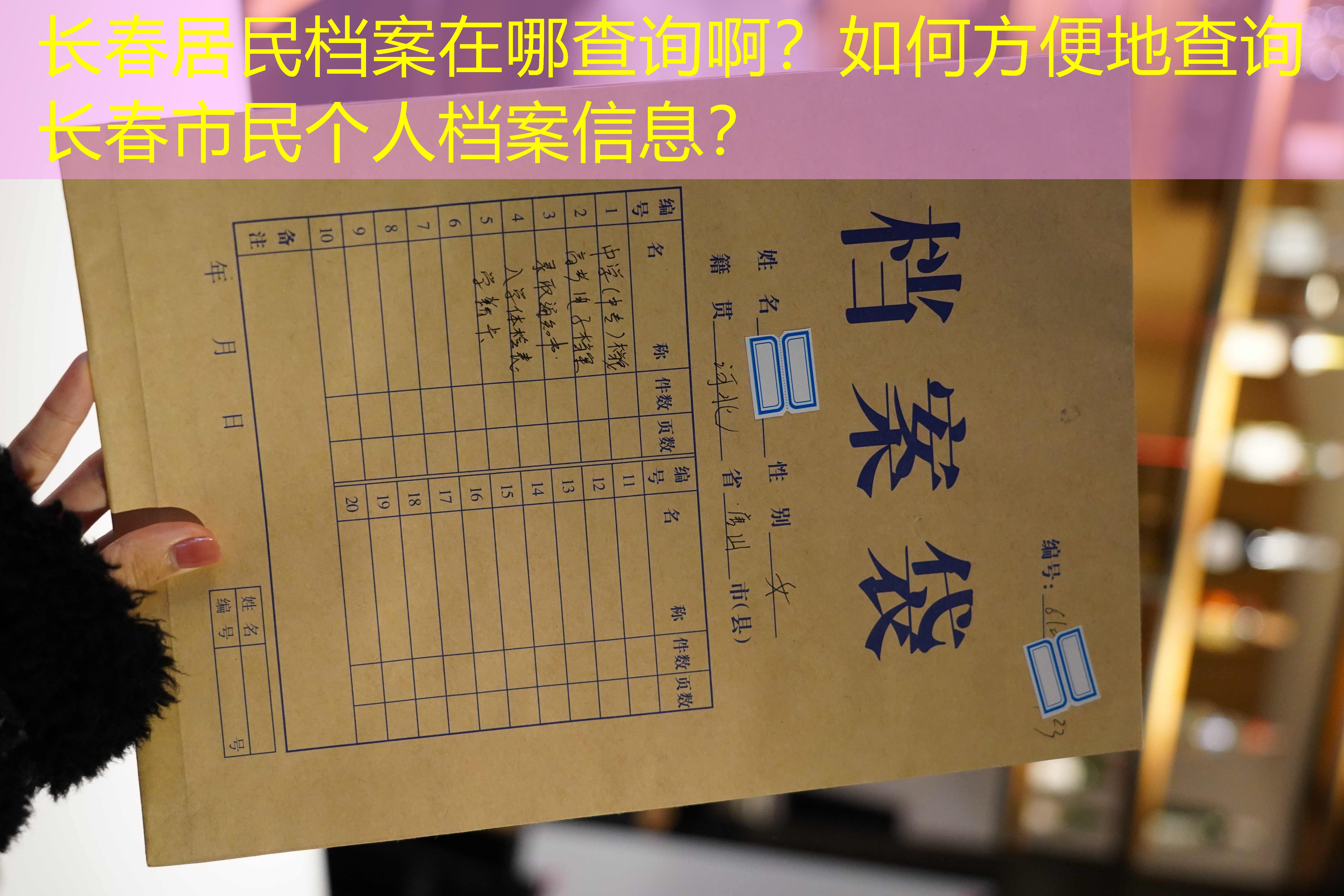 档案查询