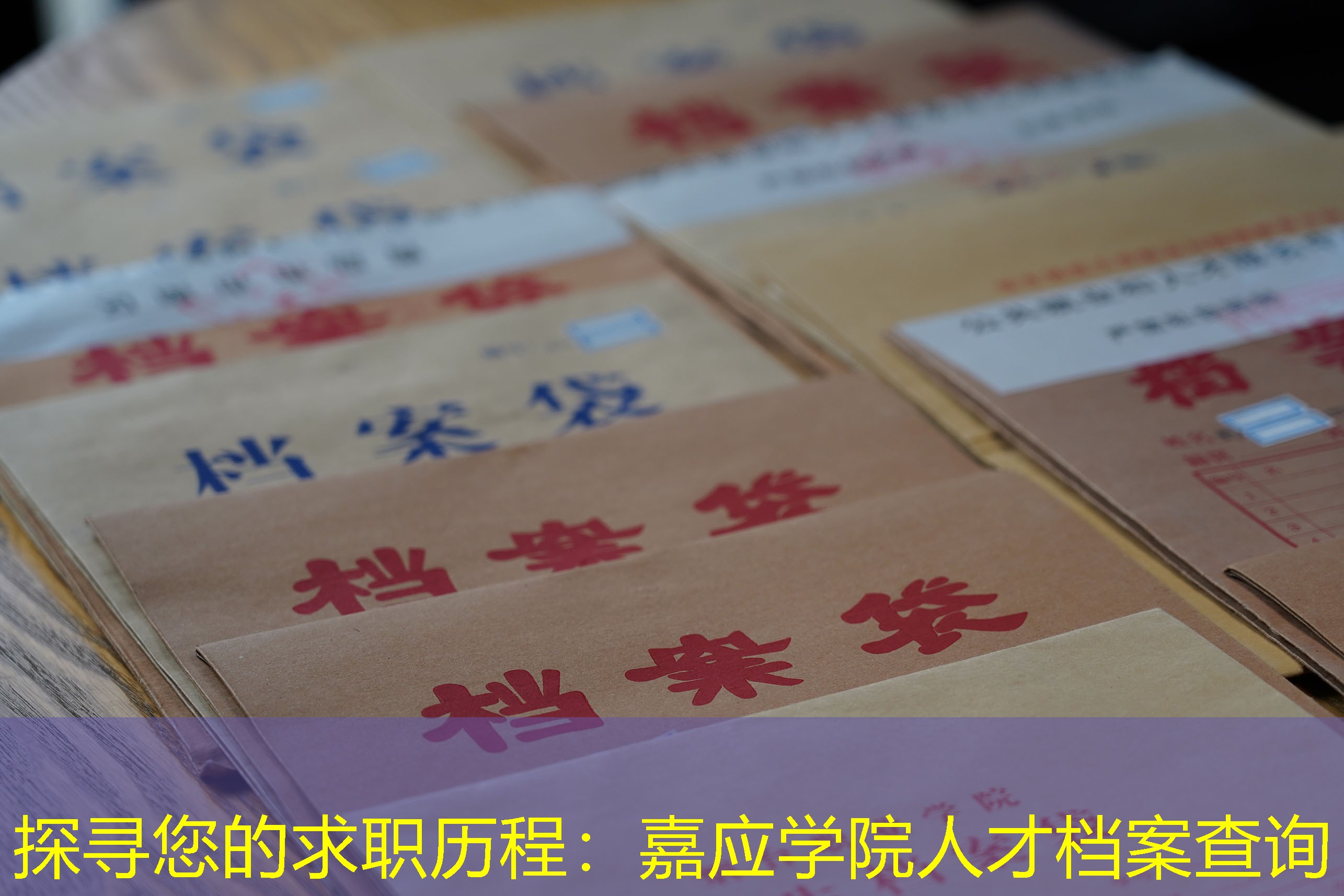 档案查询