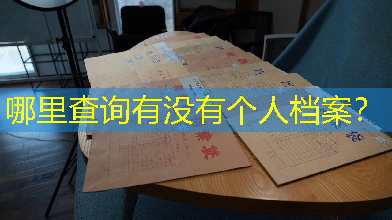 档案查询