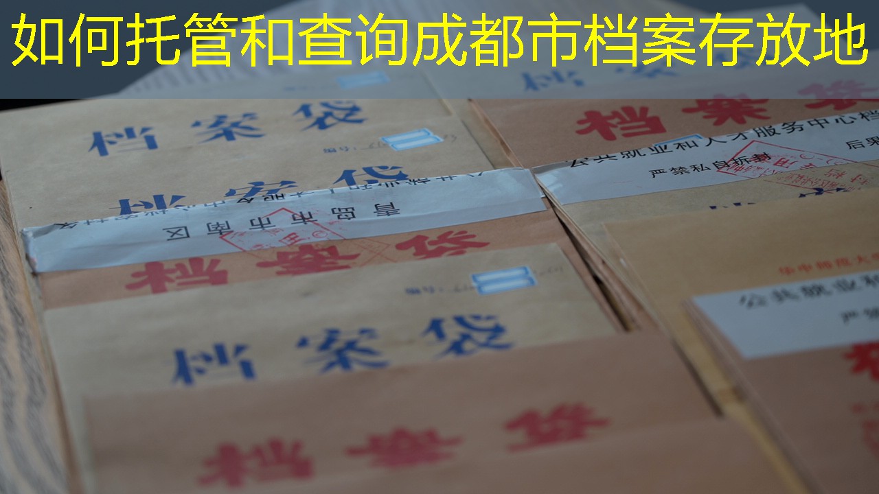 档案查询