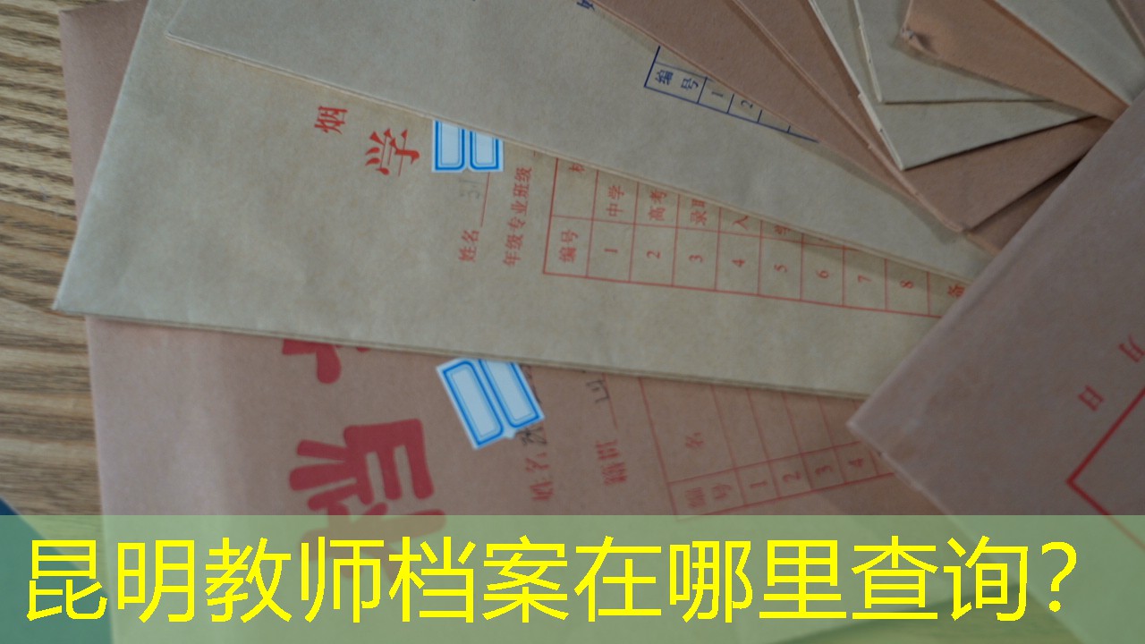 档案查询