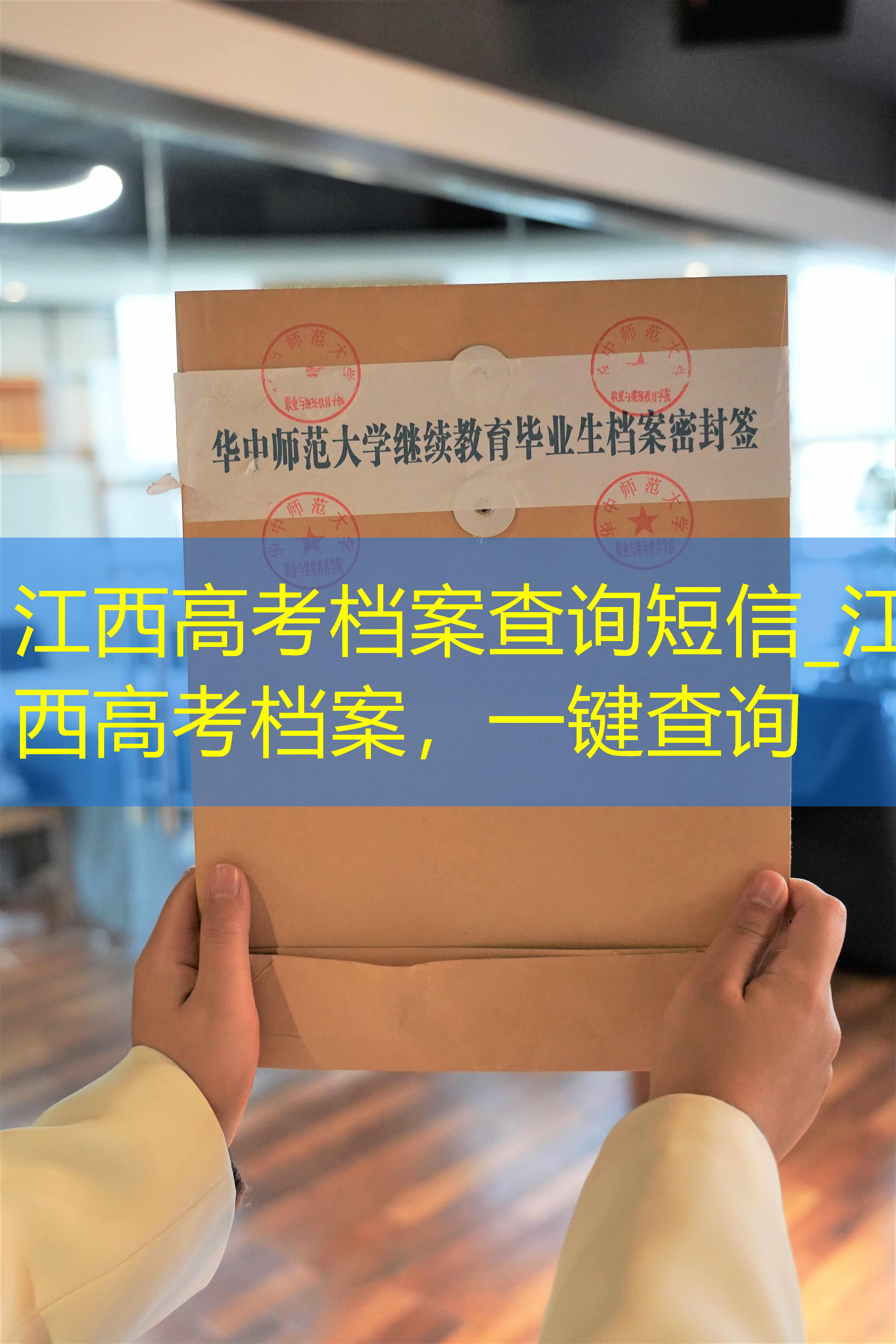 档案查询