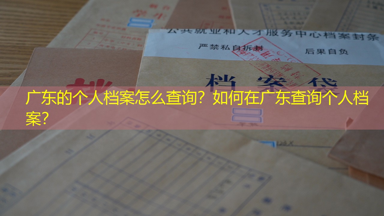 档案查询