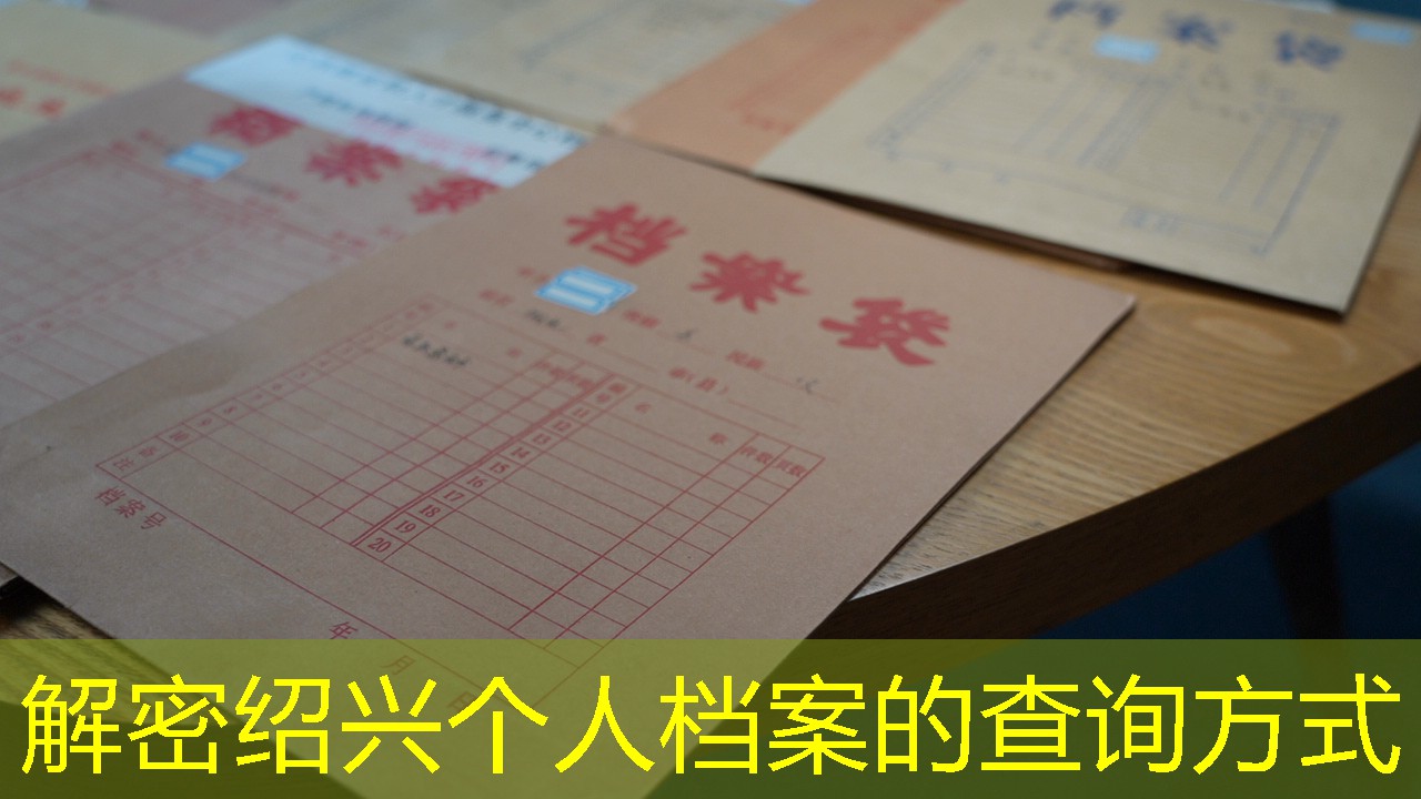 档案查询
