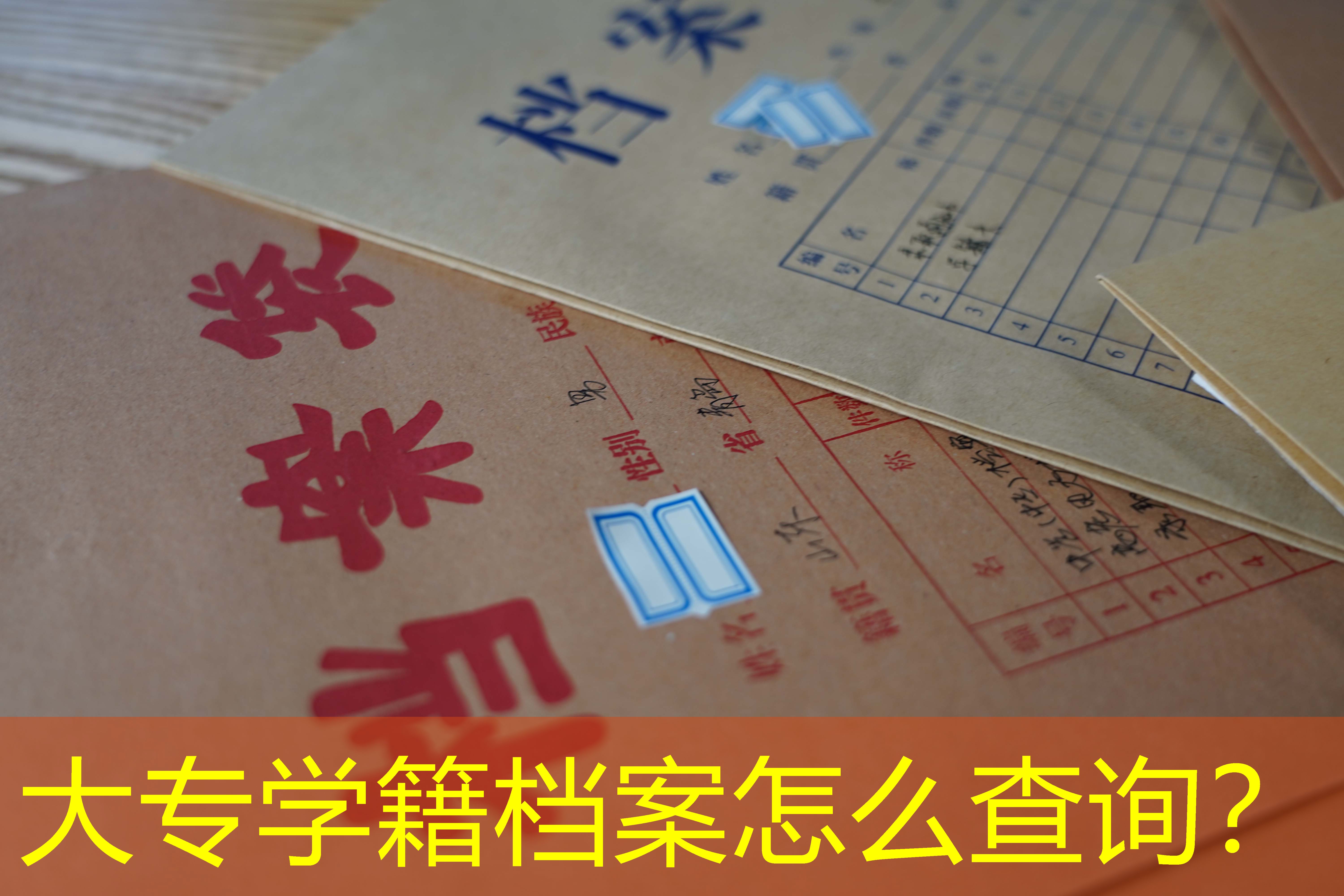 档案查询