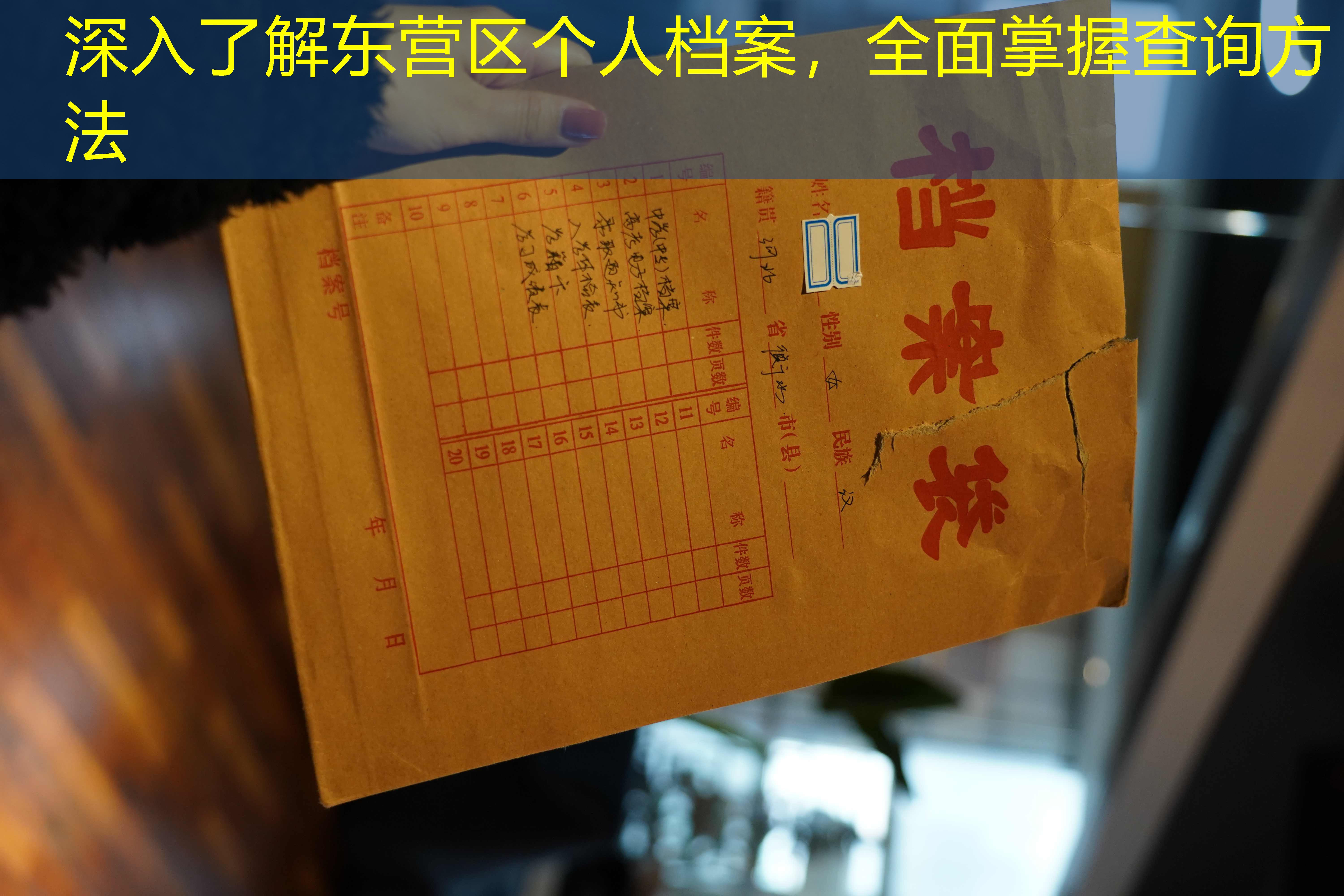 档案查询