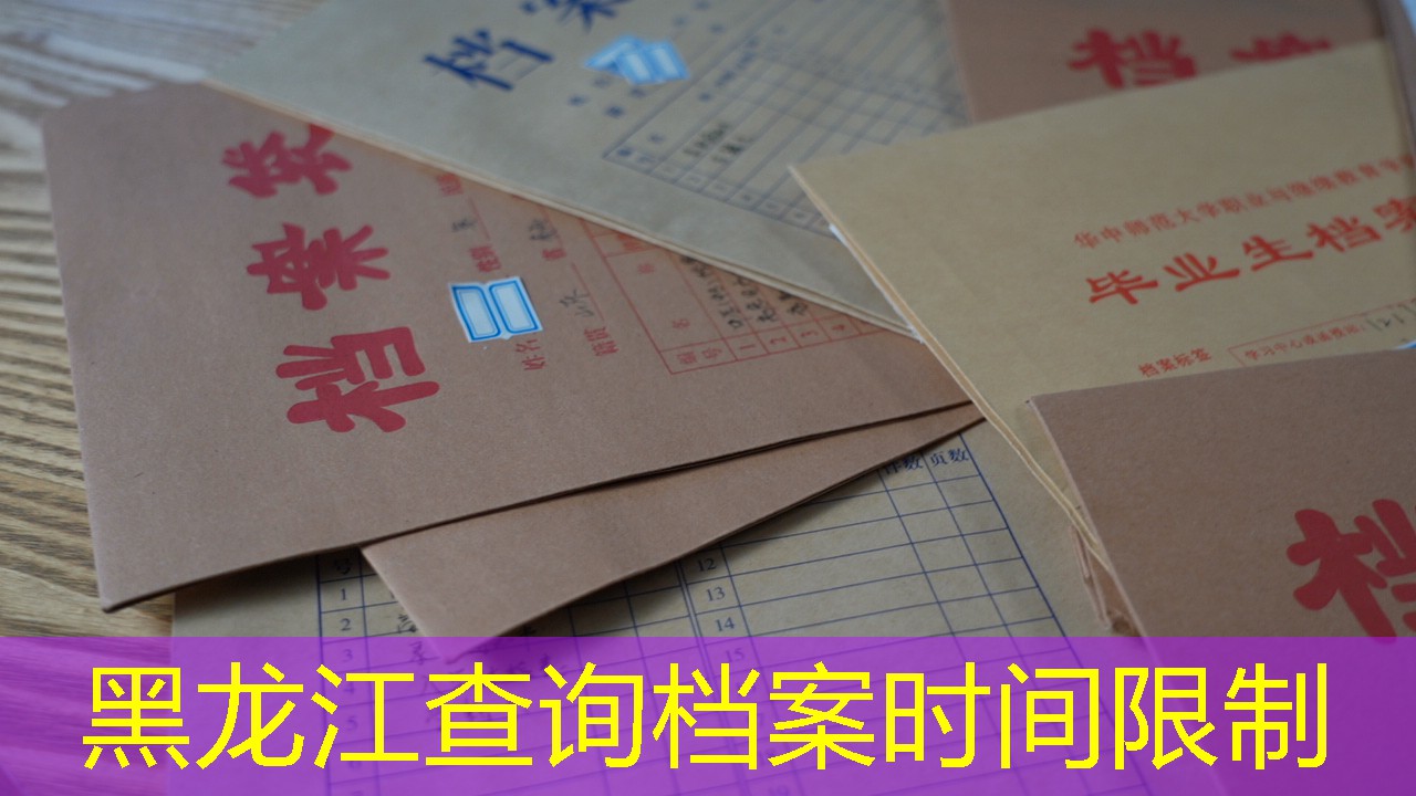 档案查询