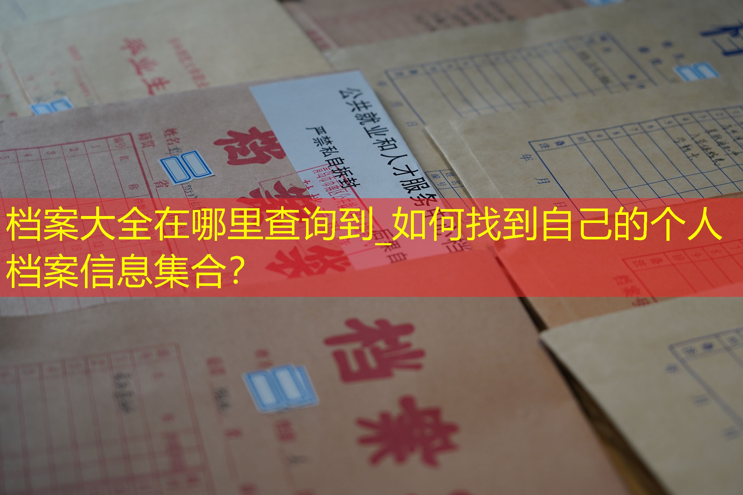 档案查询