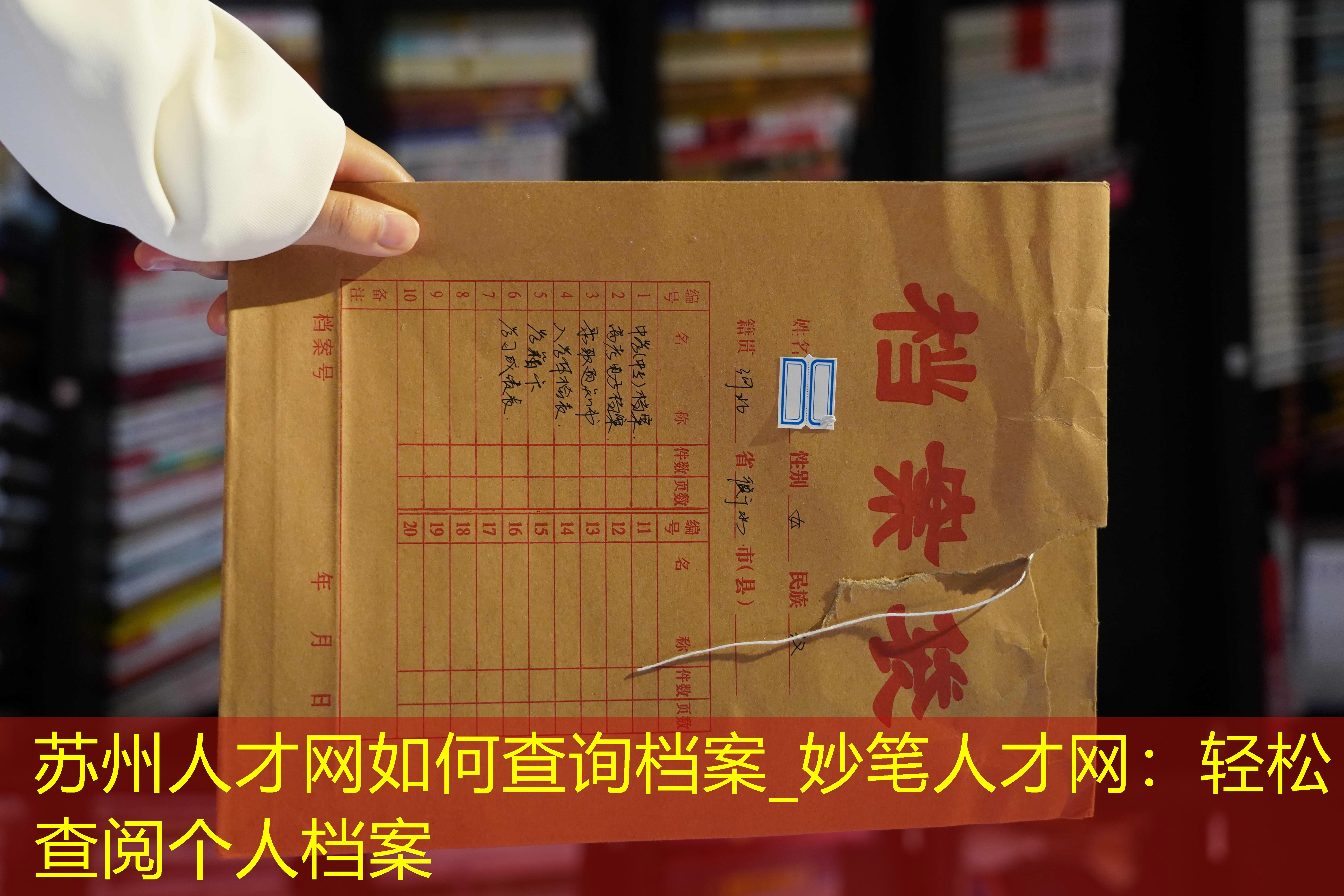 档案查询
