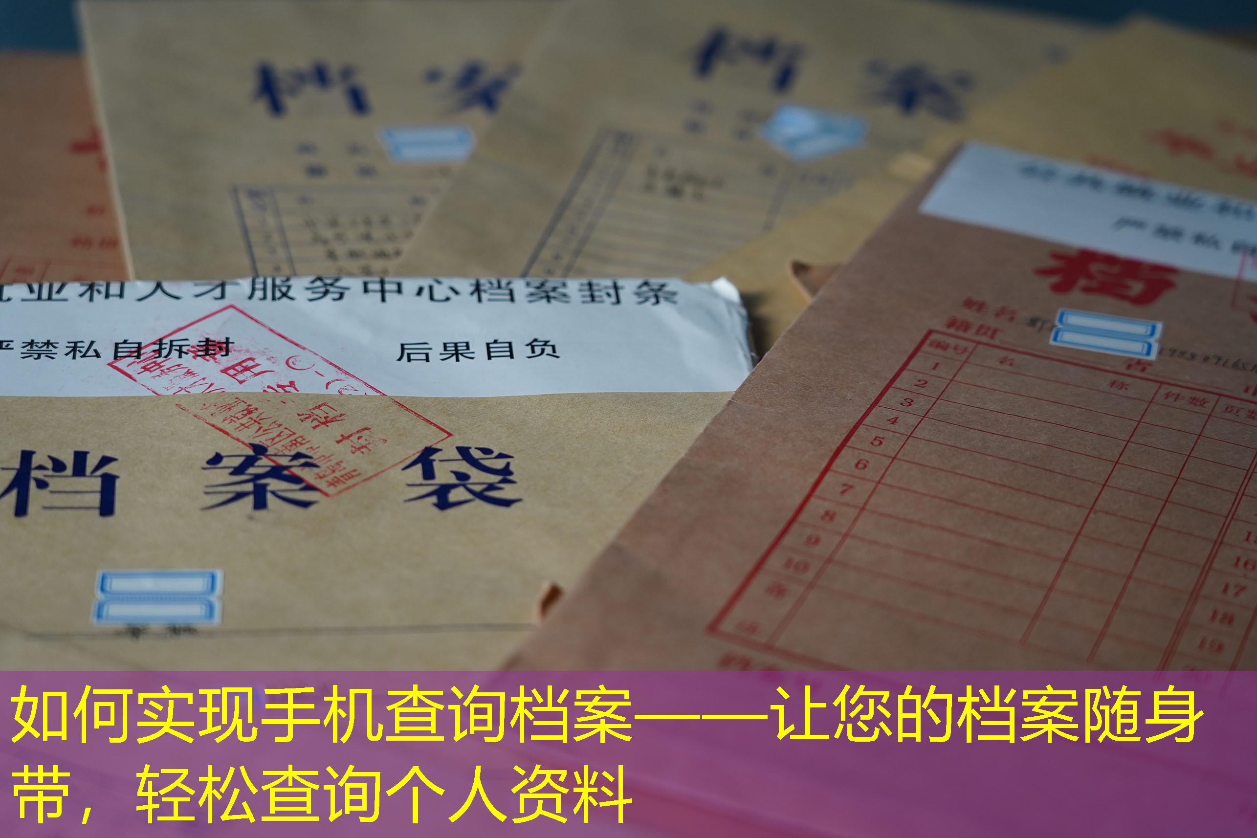 档案查询