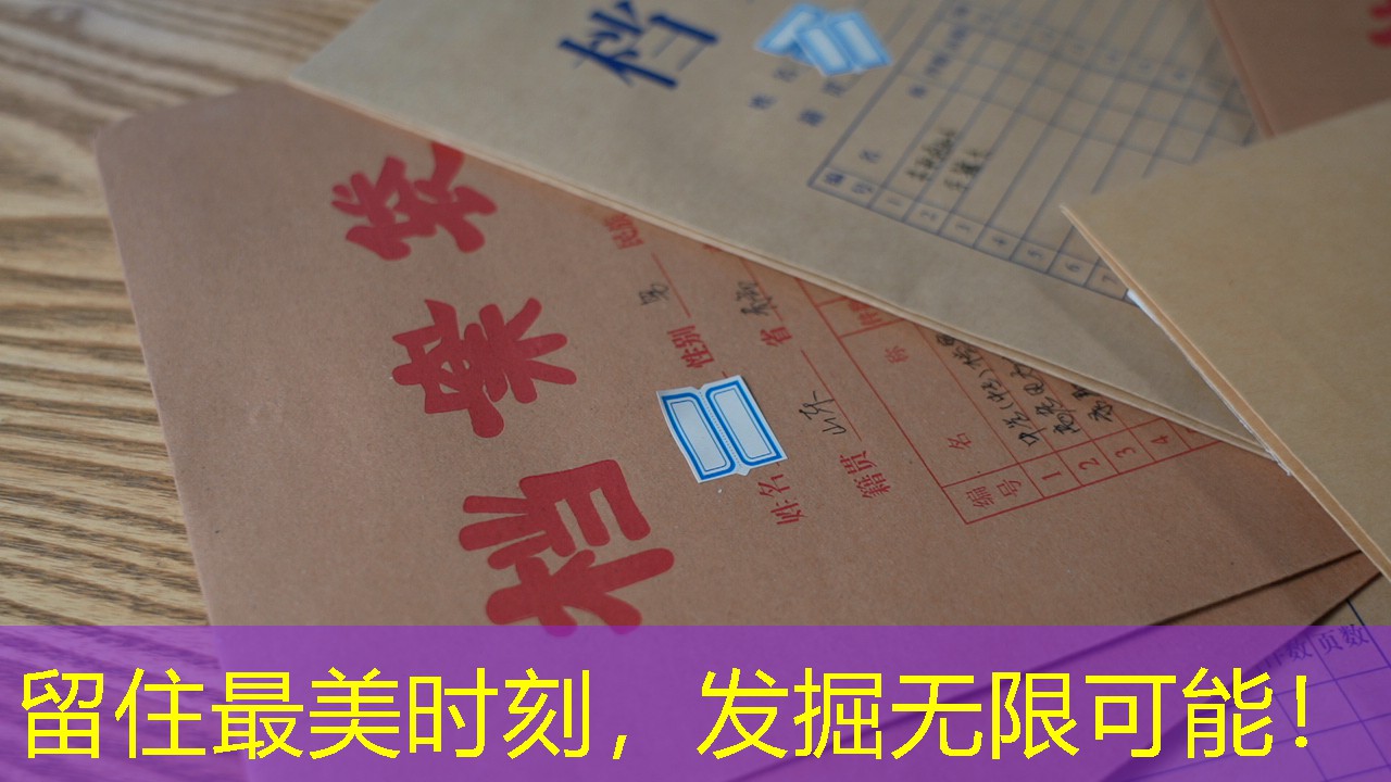 档案查询