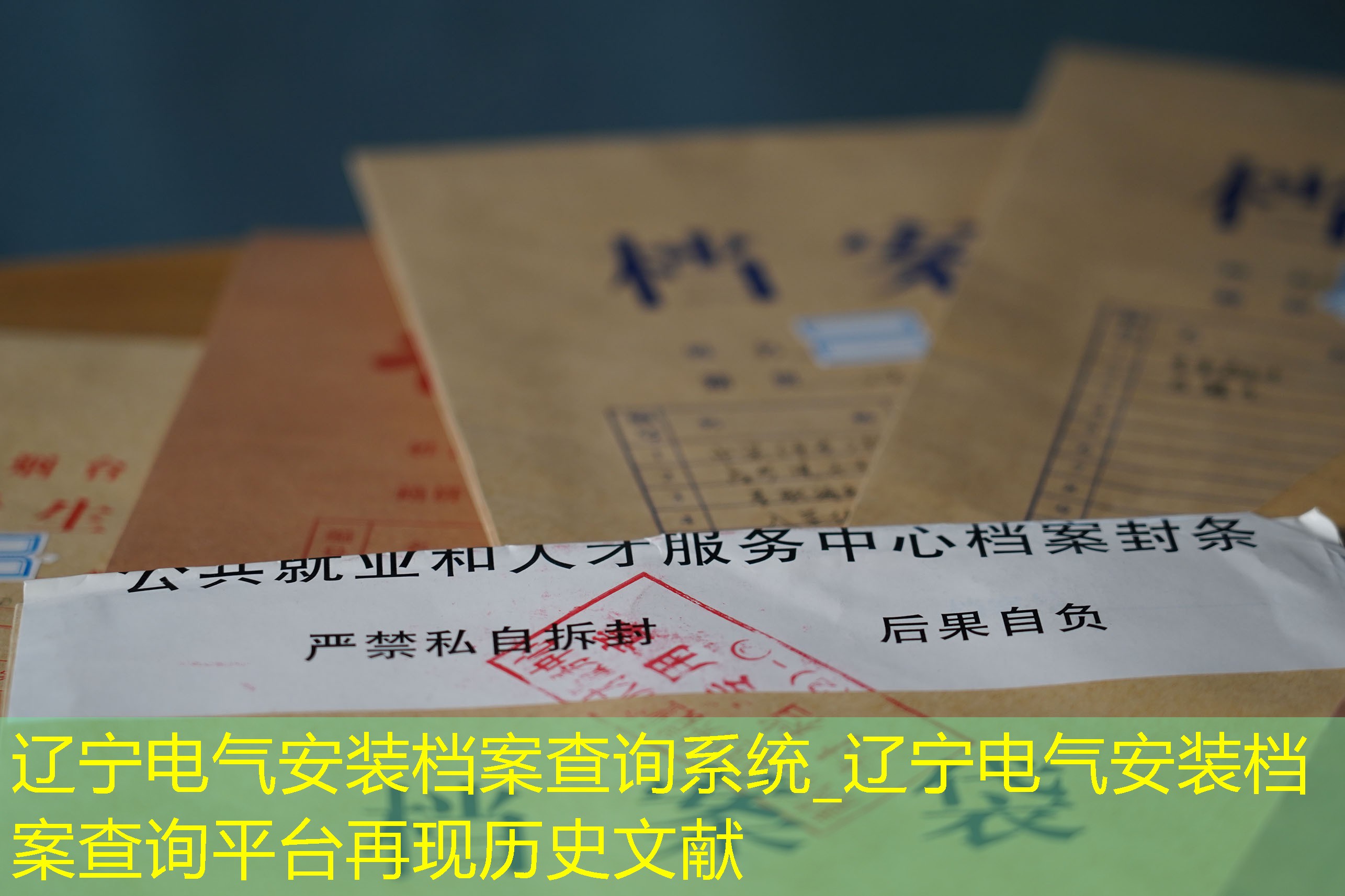 档案查询