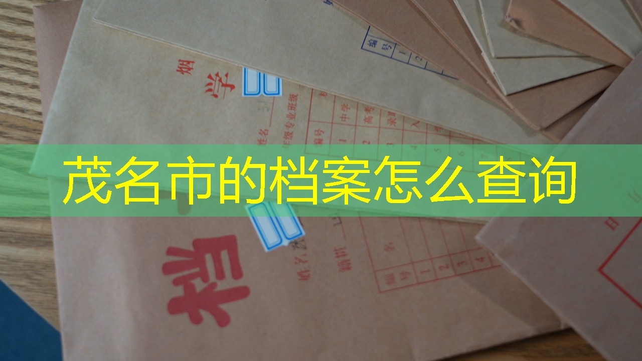 档案查询