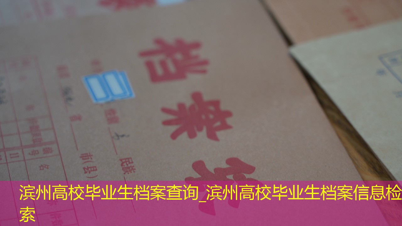 档案查询