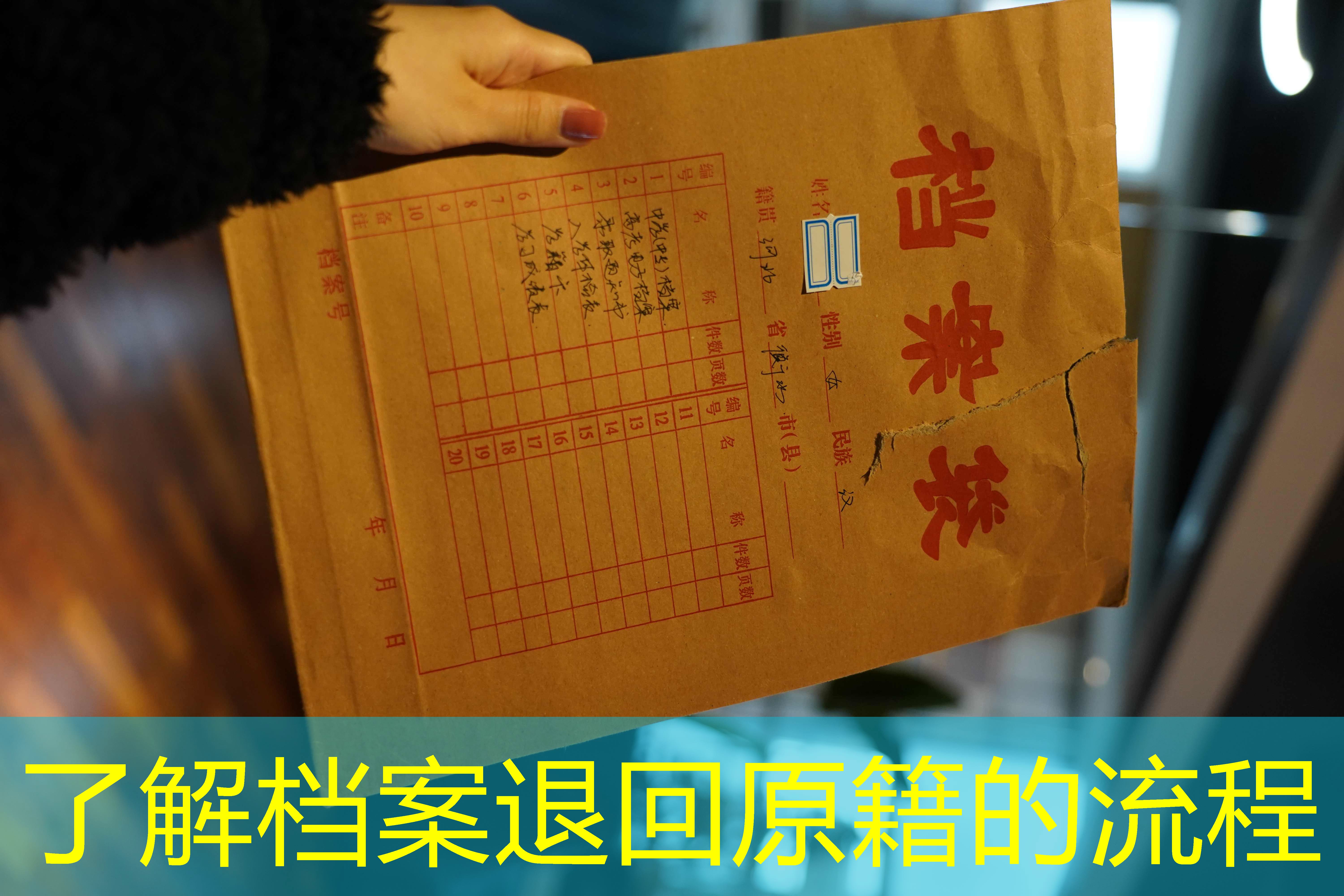 档案查询