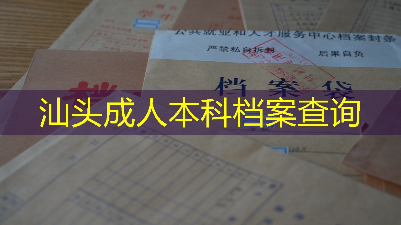 档案查询