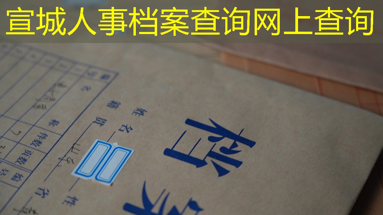 档案查询